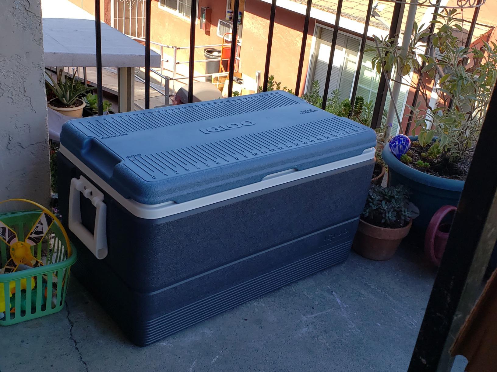 Igloo Maxcold 40-100 Qt Commercially Insulated Coolers customer photo 1