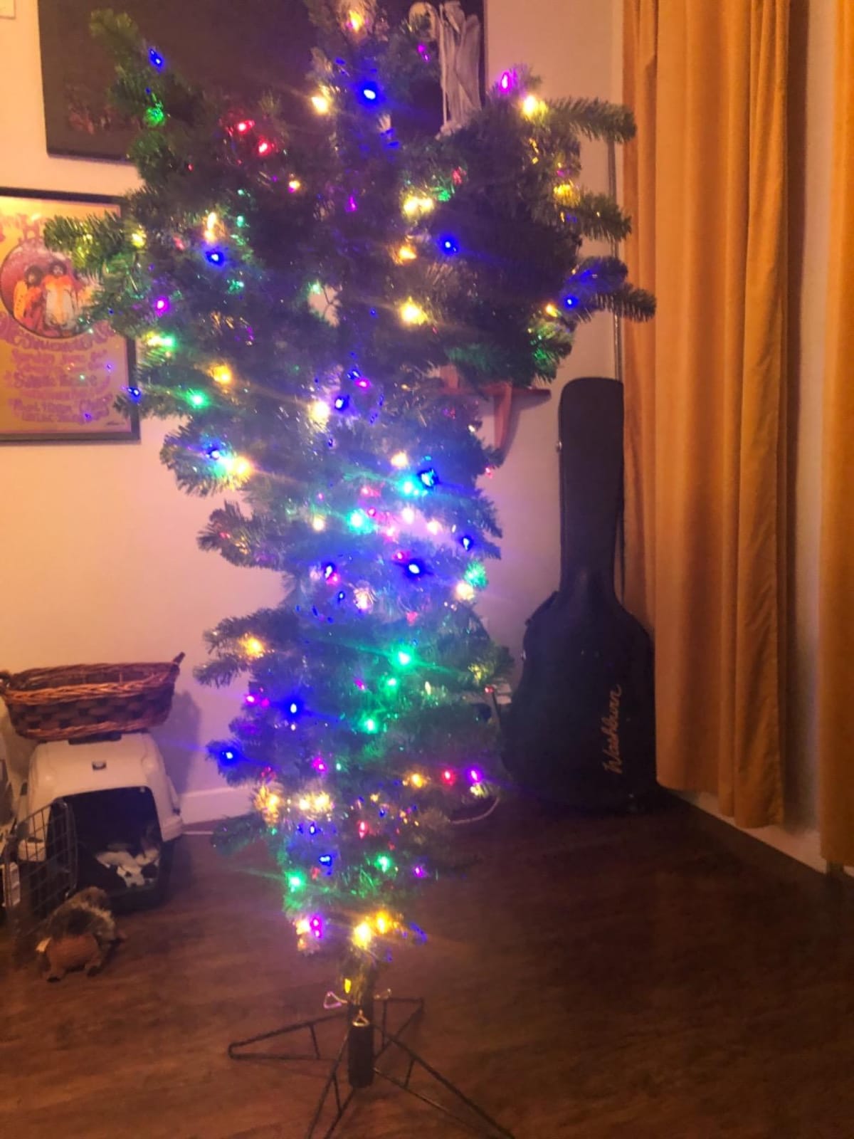 Vickerman 5.5' Green Upside Down Artificial Christmas Tree, Unlit - Faux Upside Down Christmas Tree - Seasonal Indoor Home Decor customer photo 2