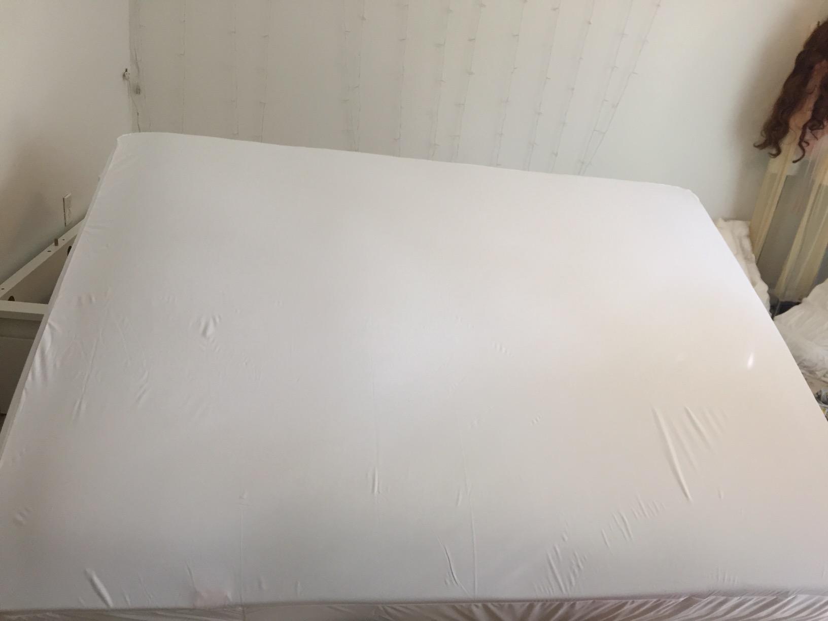 HOSPITOLOGY PRODUCTS Mattress Encasement - Zippered Bed Bug Dust Mite Proof Hypoallergenic - Sleep Defense System - Queen - Waterproof - Stretchable - Standard 12