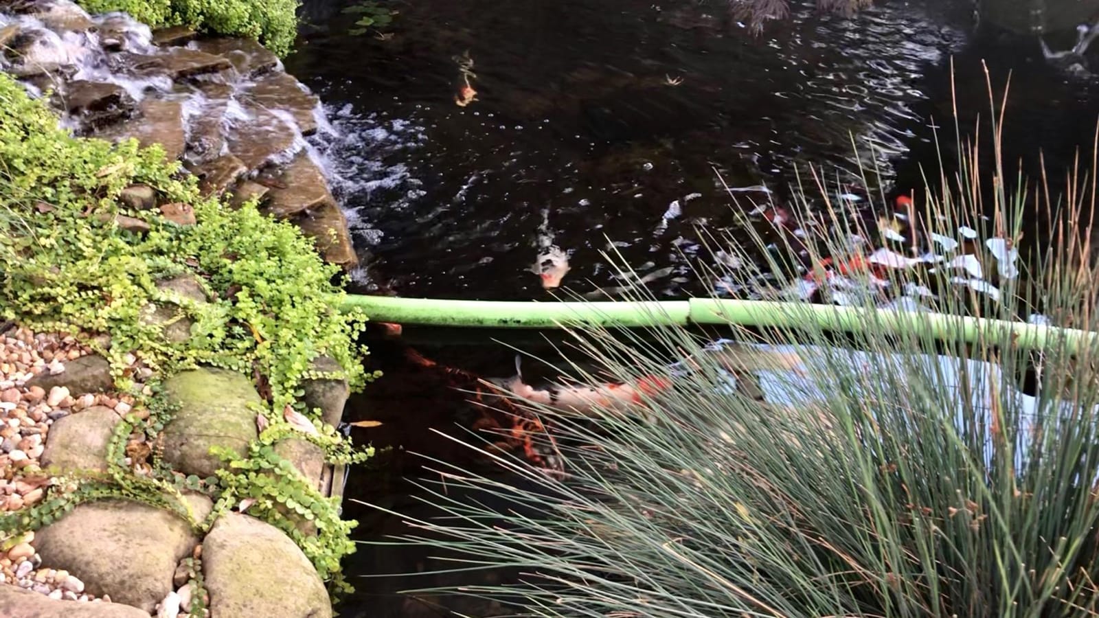 Goplus 2642 GPH Pond Filter for Outdoor Pond customer photo 1