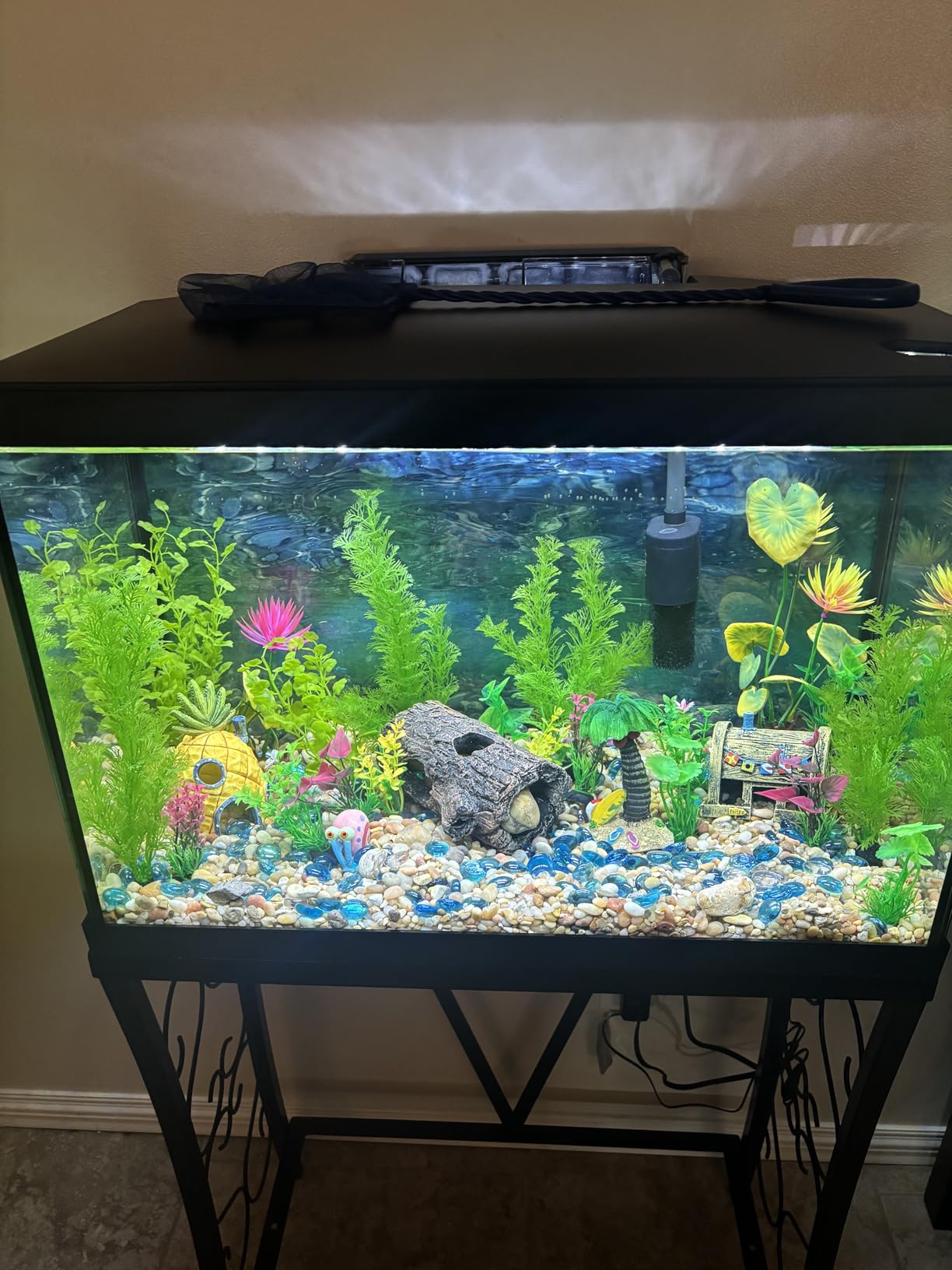 Marina 5 Gallon (19 L) LED Aquarium Kit | Ideal for Beginner Aquarists and New Fish-Keepers customer photo 1