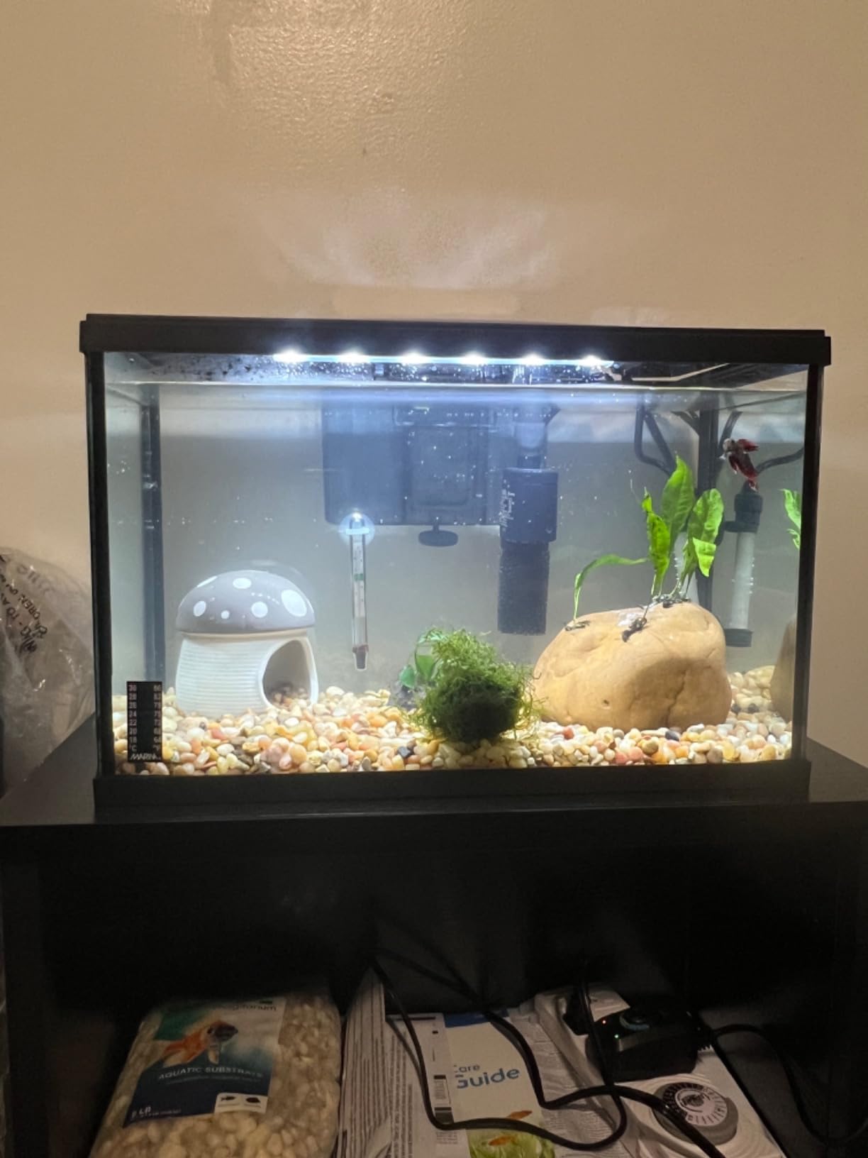 Marina 5 Gallon (19 L) LED Aquarium Kit | Ideal for Beginner Aquarists and New Fish-Keepers customer photo 2