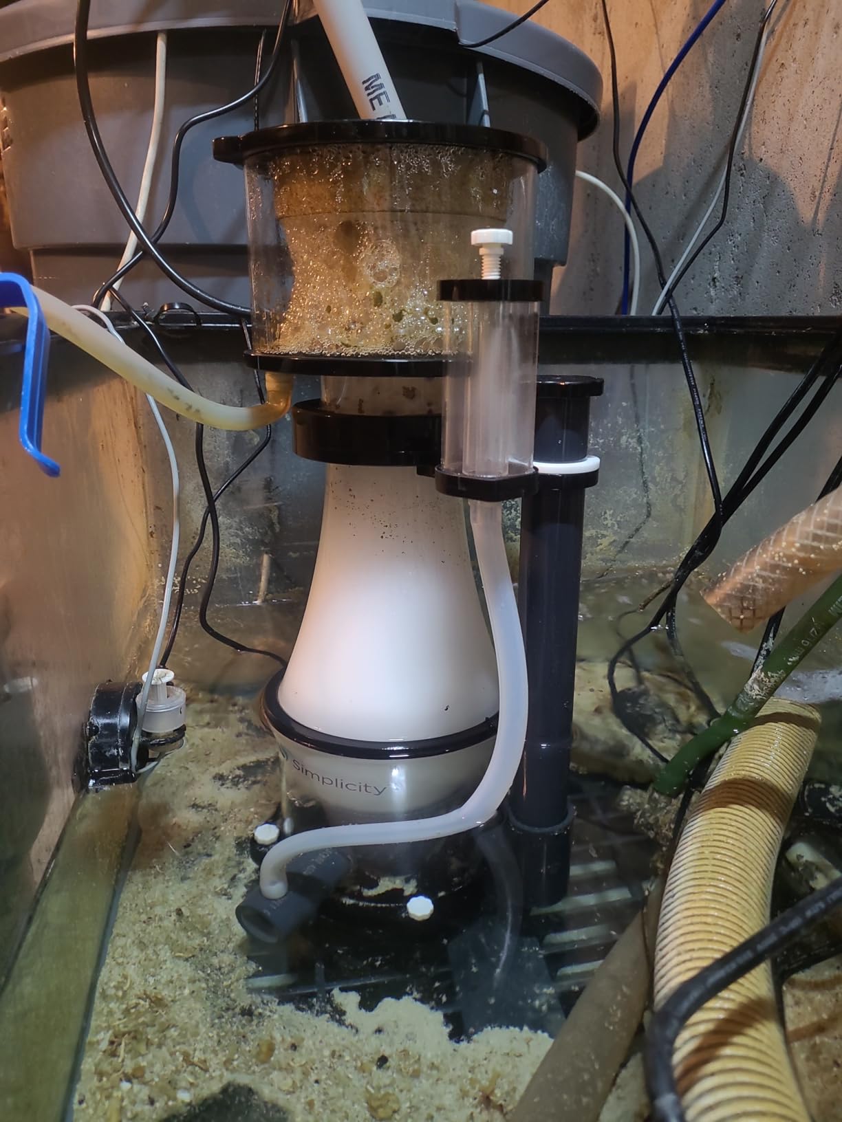 Simplicity 240DC Protein Skimmer for Saltwater Aquariums customer photo 2