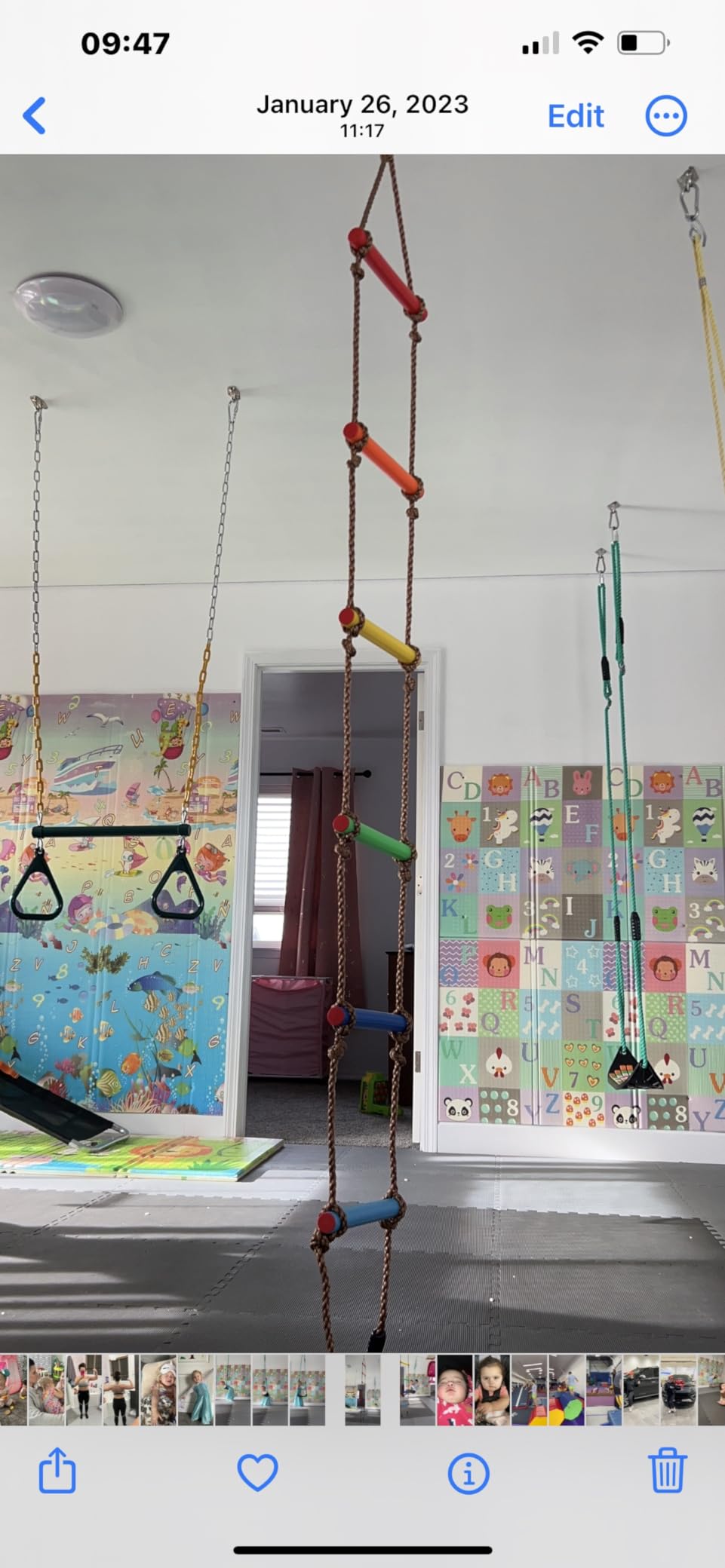 Jungle Gym Kingdom Swing Sets for Backyard, Monkey Bars & Swingset Accessories - Set Includes 18