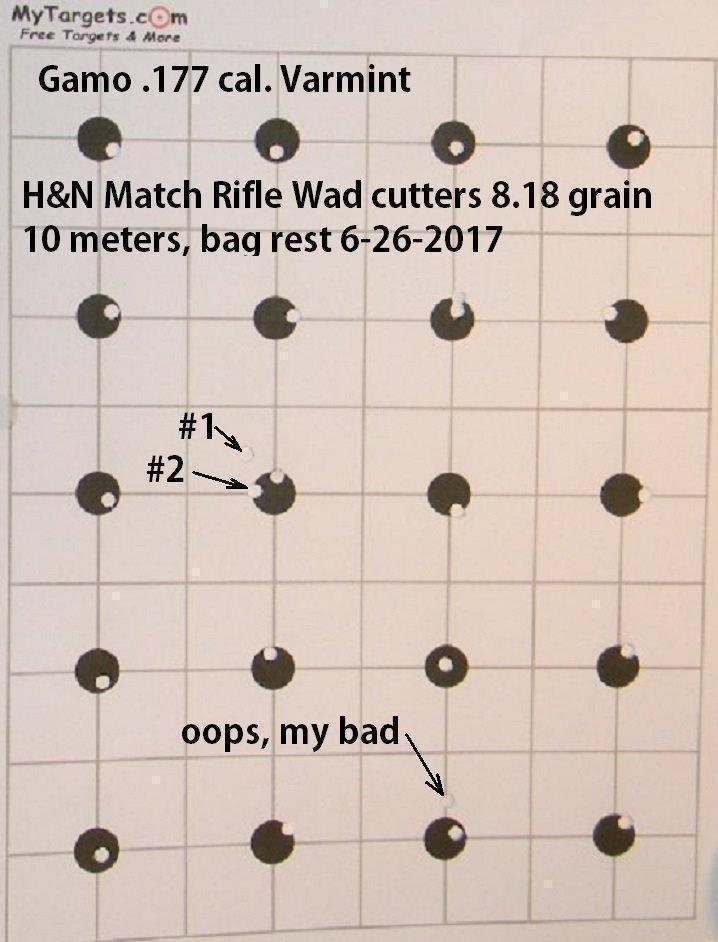 Gamo 6110017154 Varmint Air Rifle customer photo 2