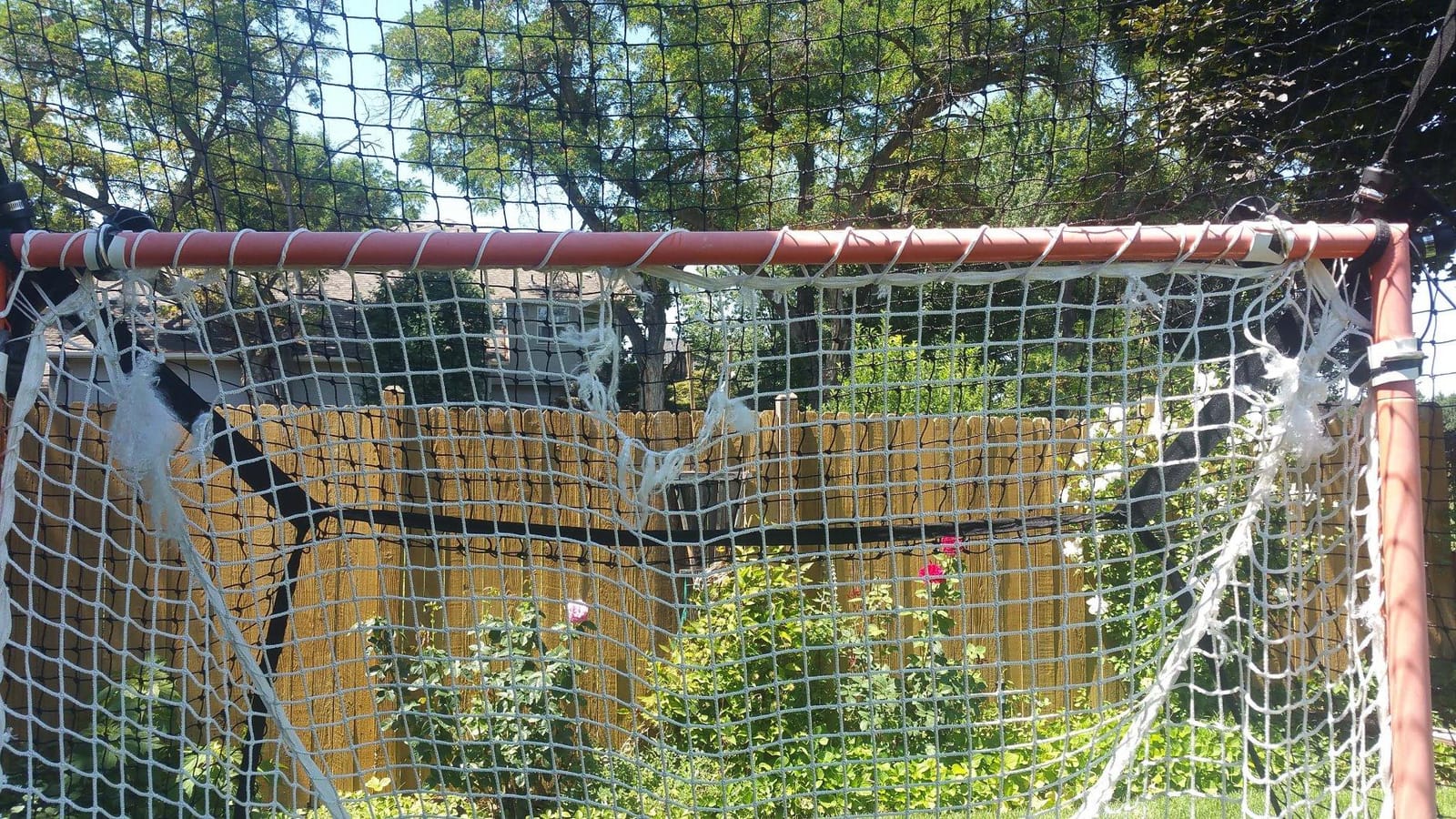 SmartBackstop for Lacrosse, Practice Smart. Attaches Directly to Goal & Folds Away When not in use, 14 x 10 ft of Durable net Coverage, fits All Round & Square Corner Regulation 6 x 6 Goals. customer photo 1