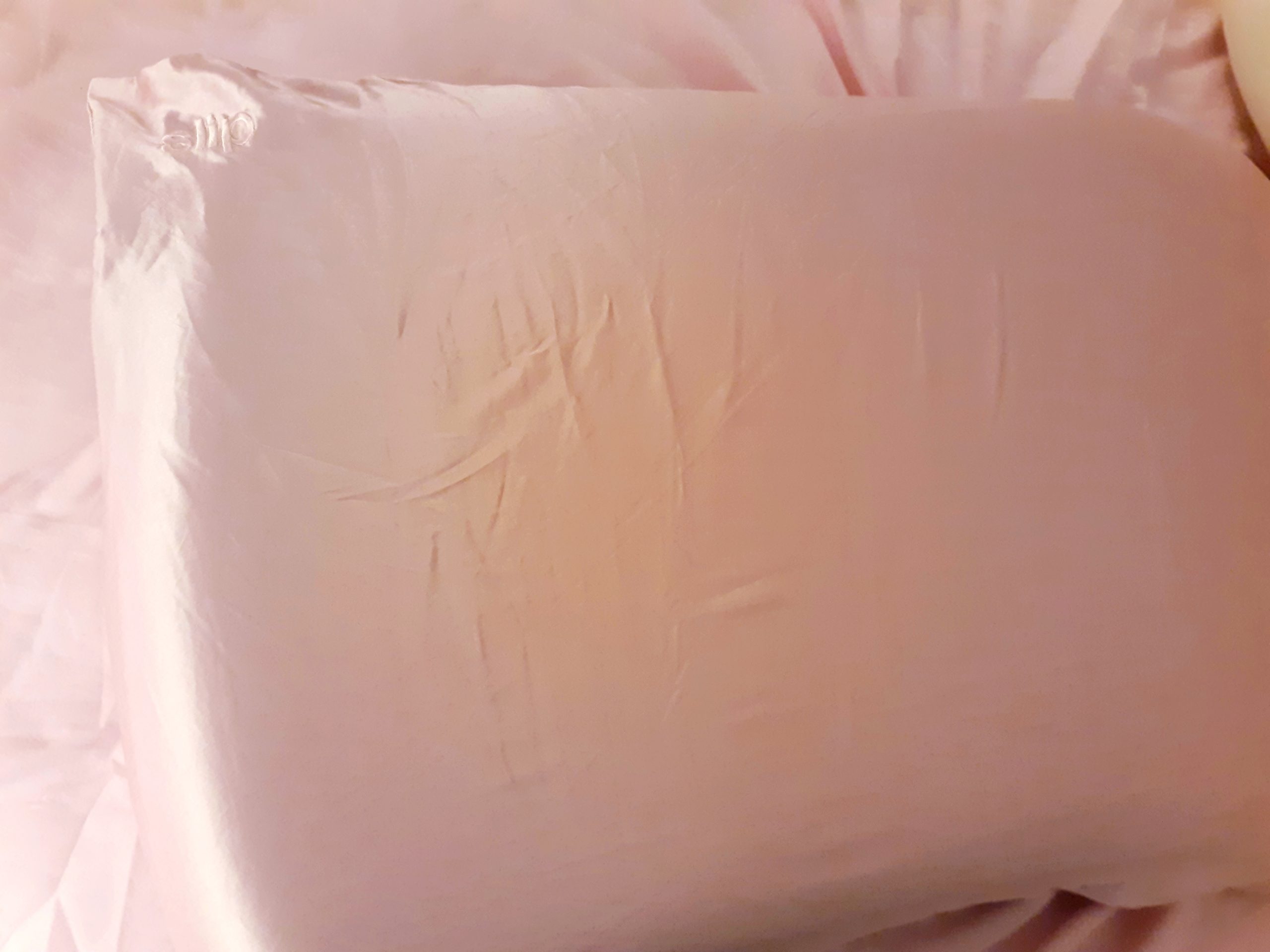 Slip Silk Queen Pillowcase, White | 100% Pure 22 Momme Mulberry Silk | Gentle on Hair & Skin | Anti-Aging, Anti-Bed Head, Anti-Sleep Crease | Queen Standard | Slipsilk Technology | All Hair Types customer photo 1