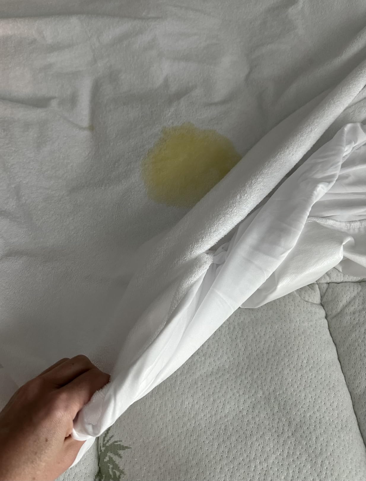 Amazon Basics Waterproof Breathable Mattress Protector, Queen Size, 18 inch Deep, Machine Washable, White customer photo 2