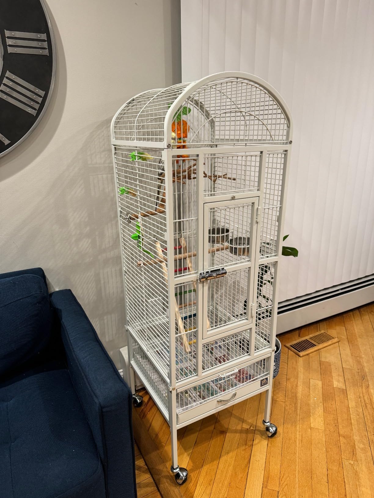 Dome Top Bird Cage with Push Button Locks - Chalk White | Powder-Coated Steel Cage with Wheels, Seed Guards, and Perch, Ideal for Cockatiels and All Small-Medium Sized Birds customer photo 2
