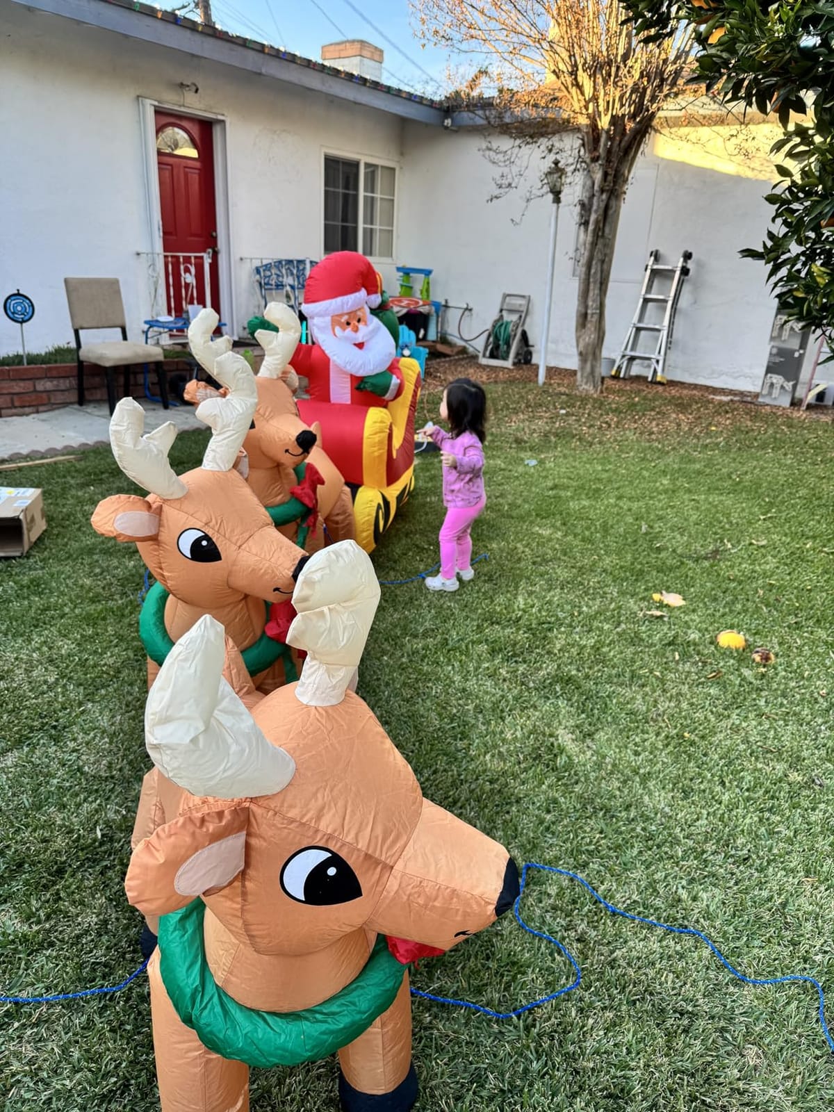 12 FT Long Lighted Christmas Inflatable Santa Claus on Sleigh with 3 Reindeer Lighted Inflatable Holiday Yard Decoration - Weather-Resistant Blow-Up customer photo 2
