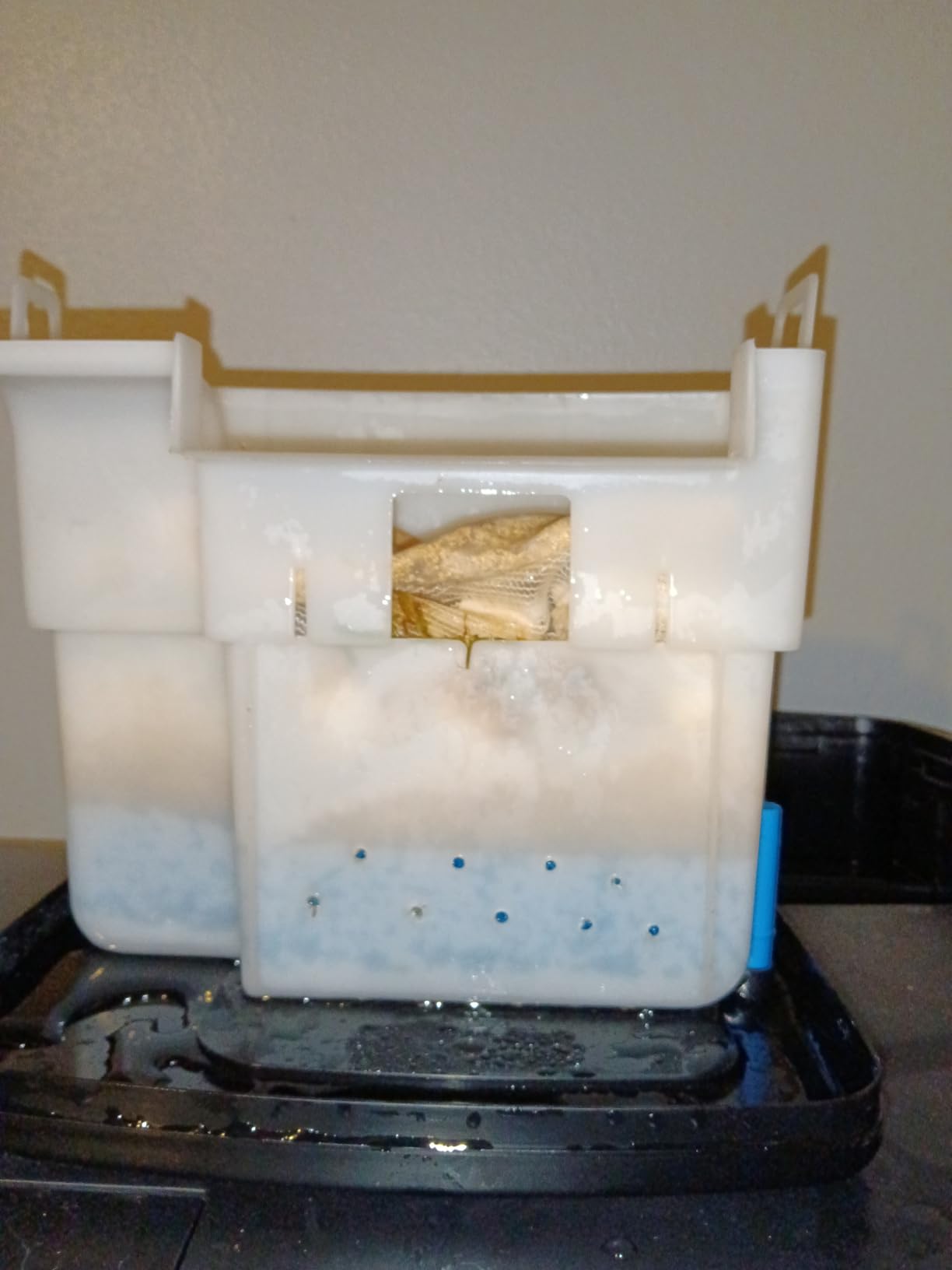 SeaChem Large Aquarium Fish Tank Filter, Tidal 55 Gallon (200 Liters) by Sicce customer photo 1