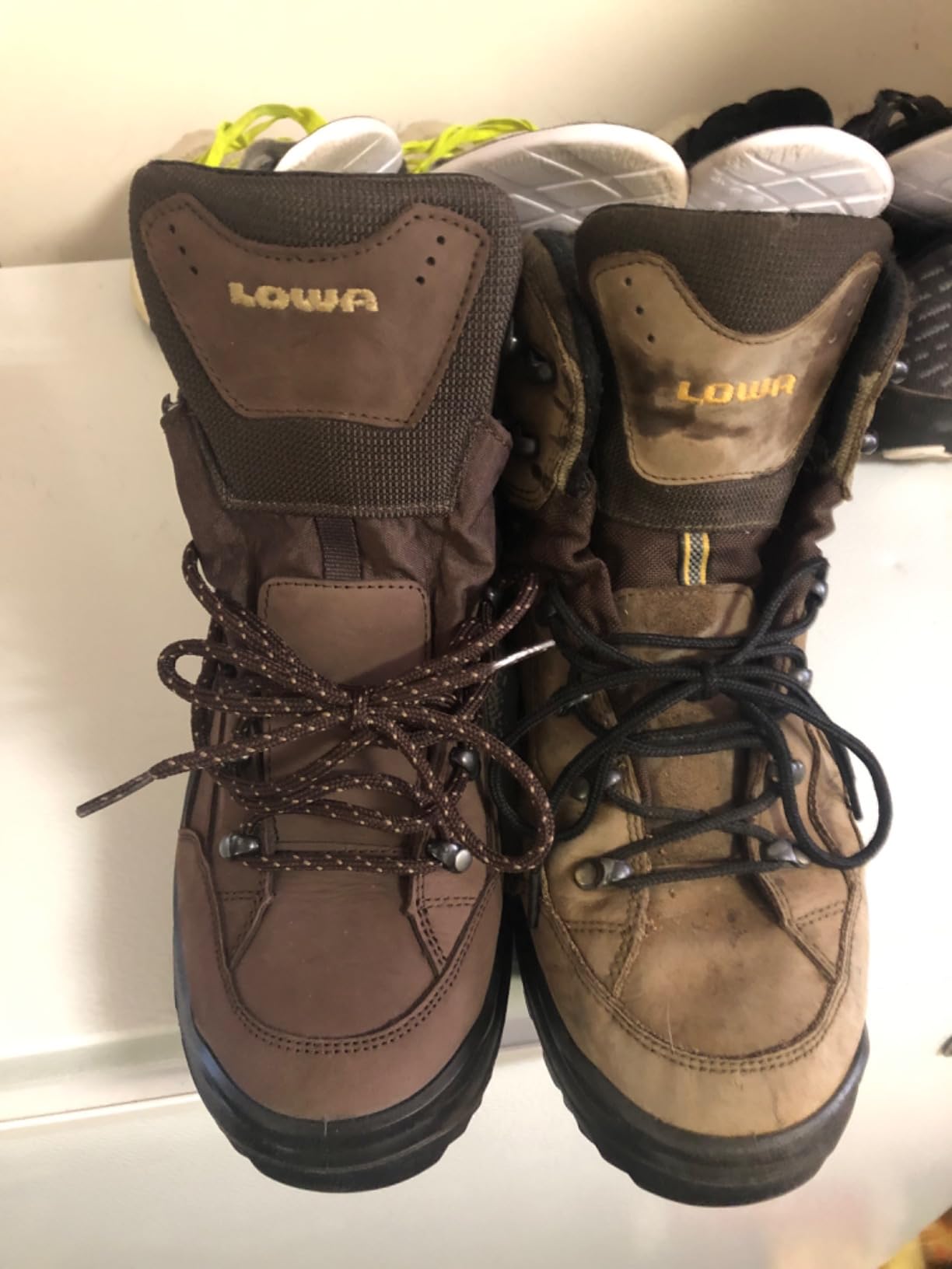 Lowa Renegade GTX Mid (310945-9999) customer photo 1