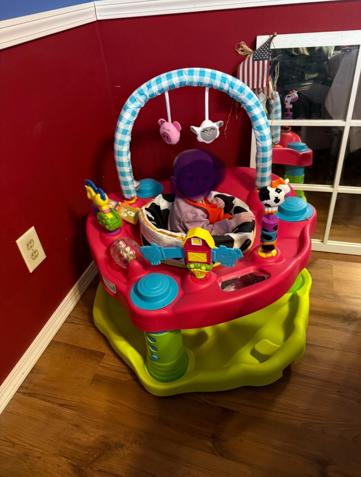 Evenflo Exersaucer Moovin & Groovin Activity Center, Ages 4-12 Months customer photo 2
