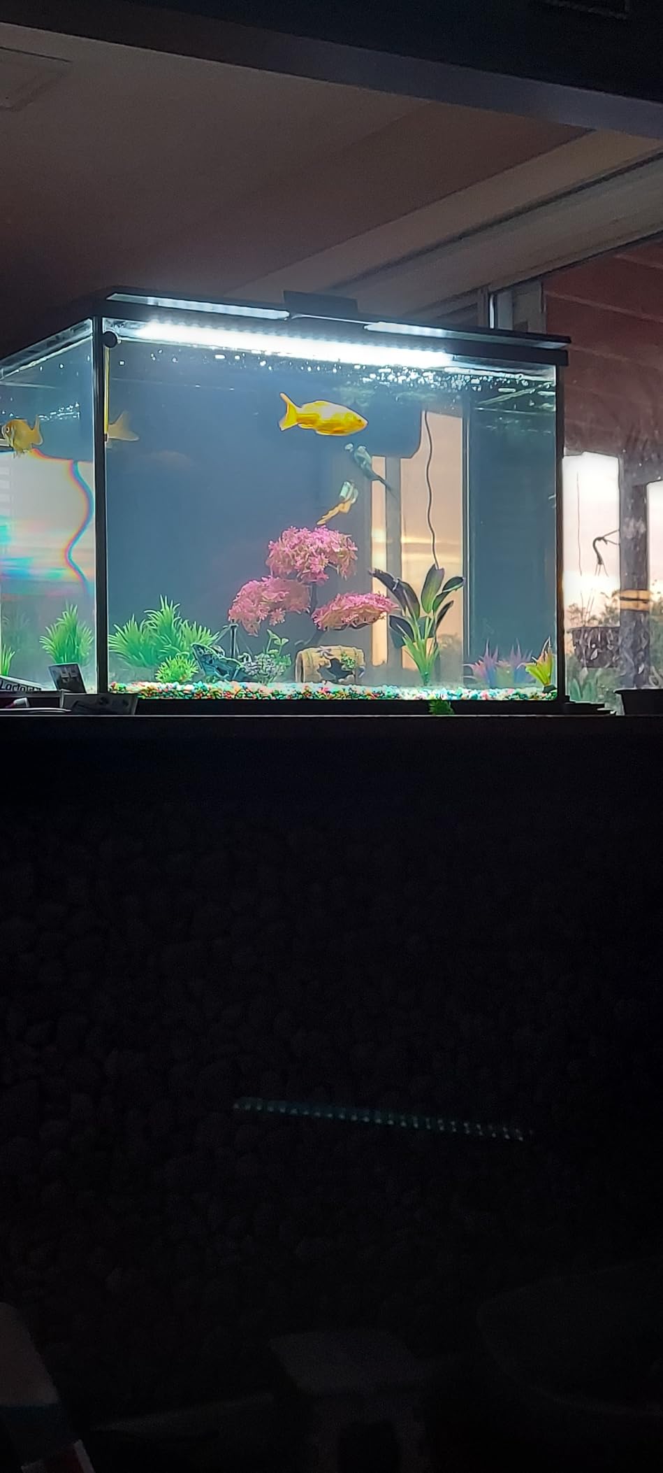 Tetra Whisper IQ Power Filter 45 Gallons, 215 GPH, with Stay Clean Technology customer photo 1