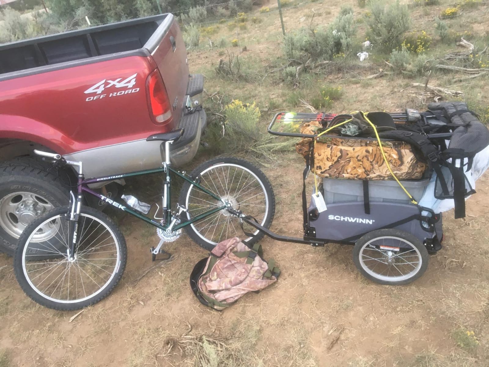 Schwinn Daytripper Bike Cargo Trailer, Holds up to 100 lb, Universal Coupler, Folding Frame, Quick-Release Wheels, 16-Inch Air-Filled Tires, Interior D-Rings customer photo 2