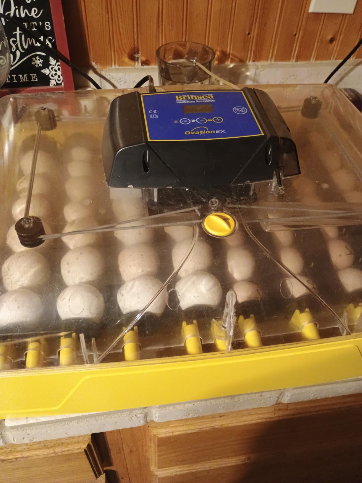 Brinsea Ovation 56 EX Egg Incubator, Automatic Turning & Humidity Control | 50+ years of trusted precision! Built-in automatic humidity, auto-turn & temp alarms take the stress out of hatching 56 eggs customer photo 1