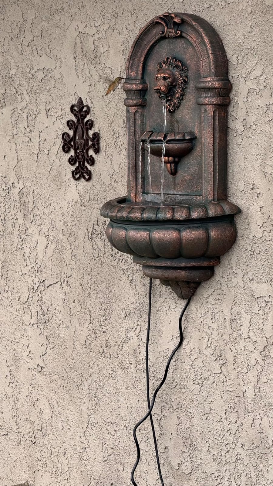 Teamson Home 32.1 in. Wall-Mounted Lion Head Stone LED Outdoor Water Fountain for Gardens, Landscaping, Patios, Balconies, Lawns, Antique Bronze customer photo 2