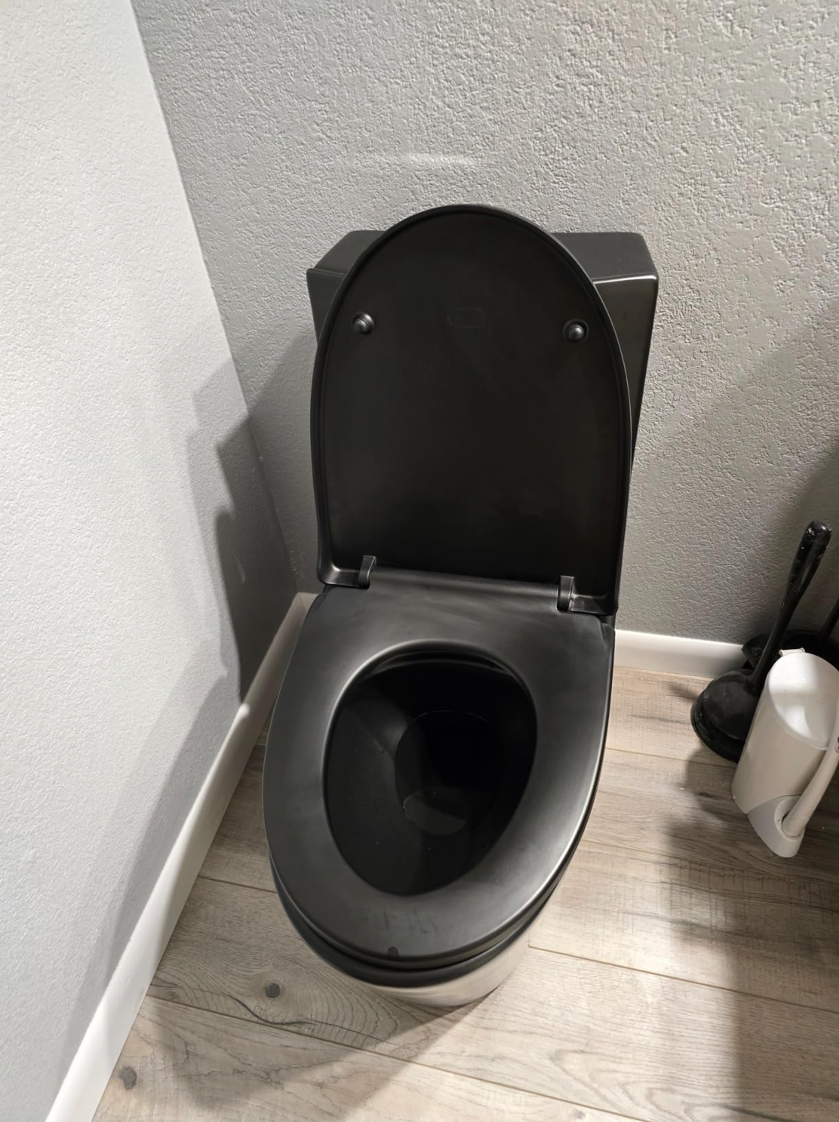 St. Tropez Comfort Height One-Piece Elongated Toilet, Vortex Dual-Flush 1.1/1.6 GPF, White Hardware customer photo 2