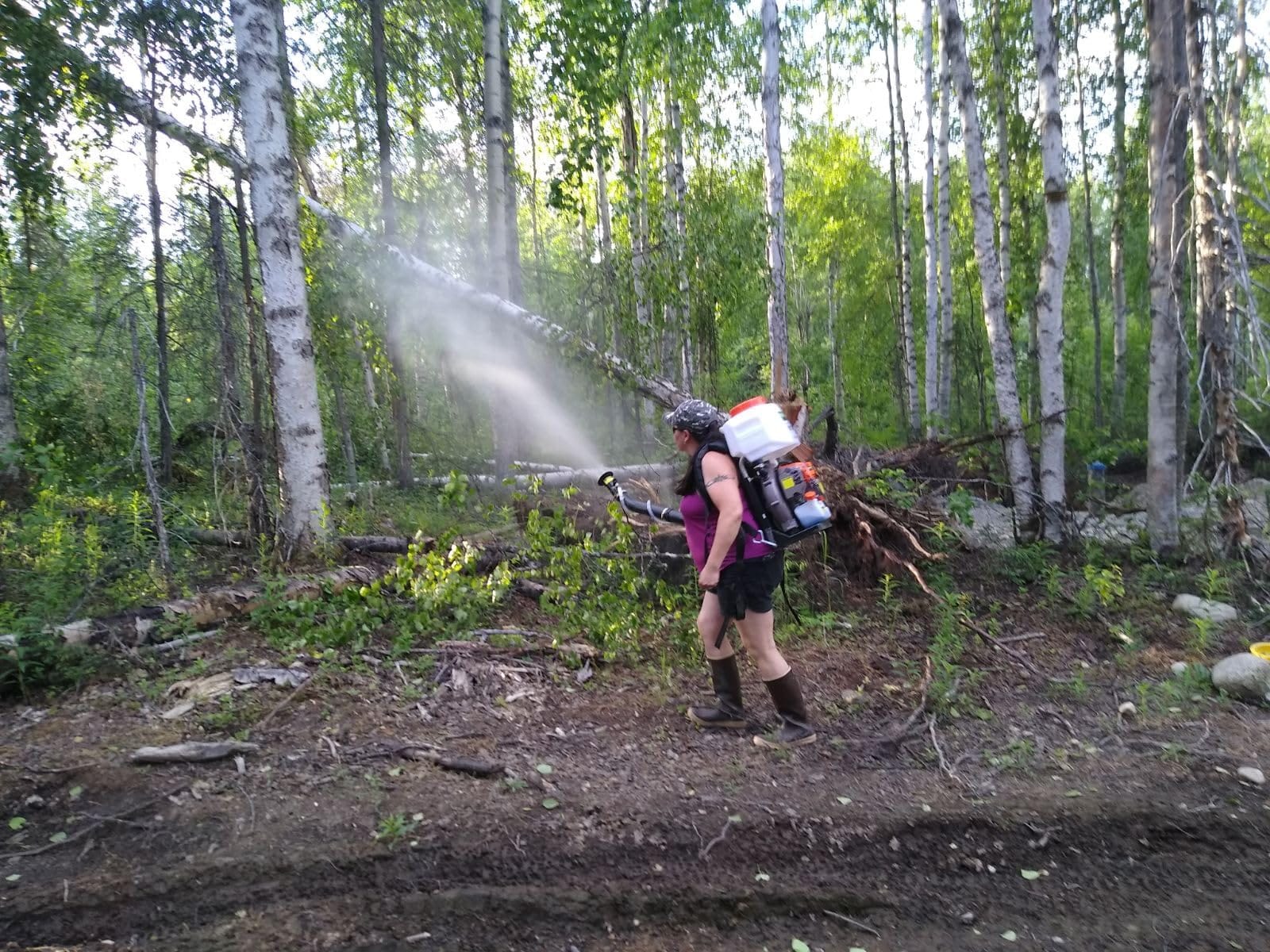 Invatech Italia New Mister Duster Mosquito Sprayer Mosquito Fogger Backpack Sprayer Cold Fogger customer photo 2