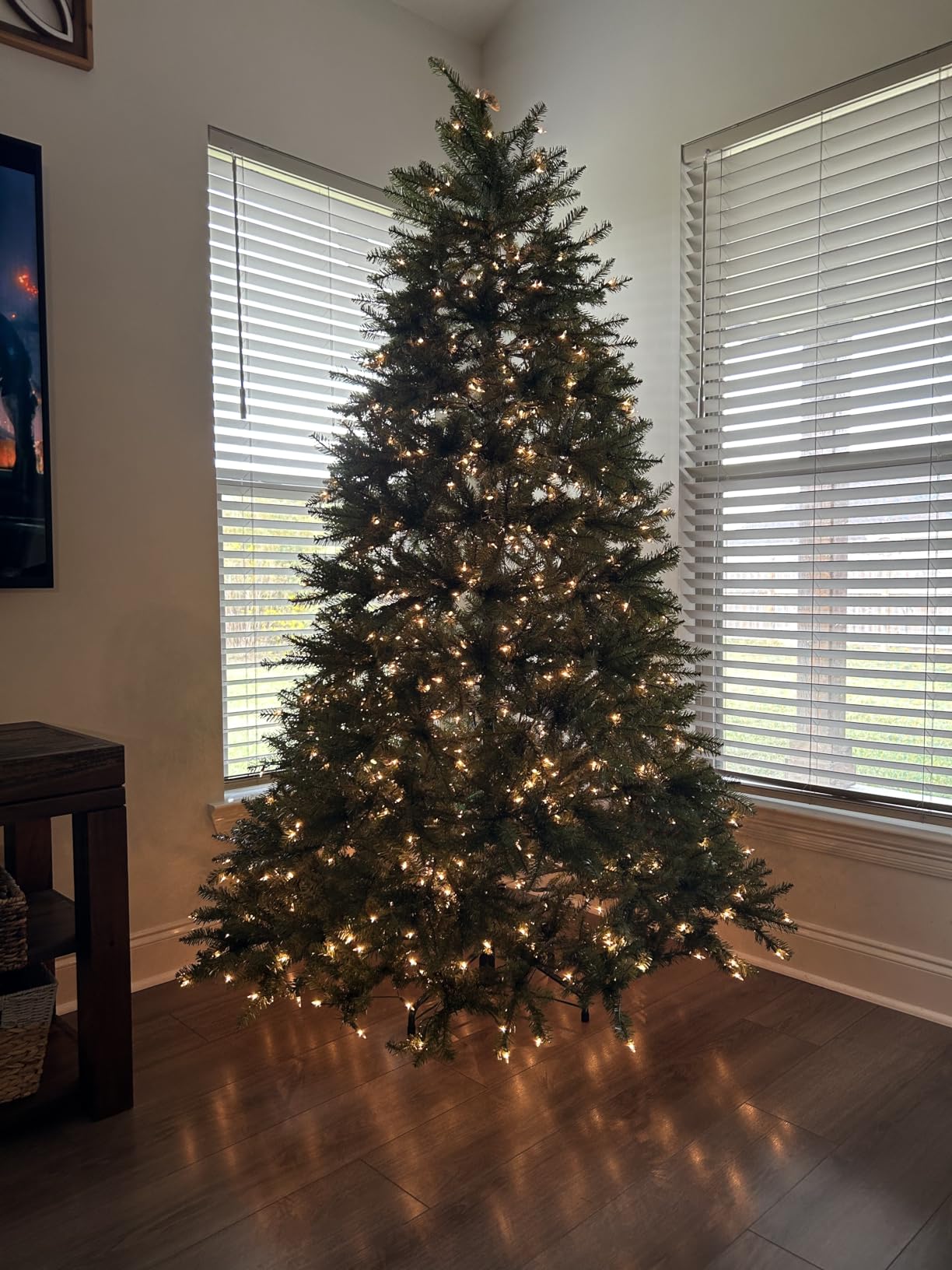 National Tree Company 6 ft Pre-Lit Dunhill Fir Artificial Christmas Tree, 600 Warm White LED Lights, 1,430 Tips, Includes Stand, Green customer photo 1