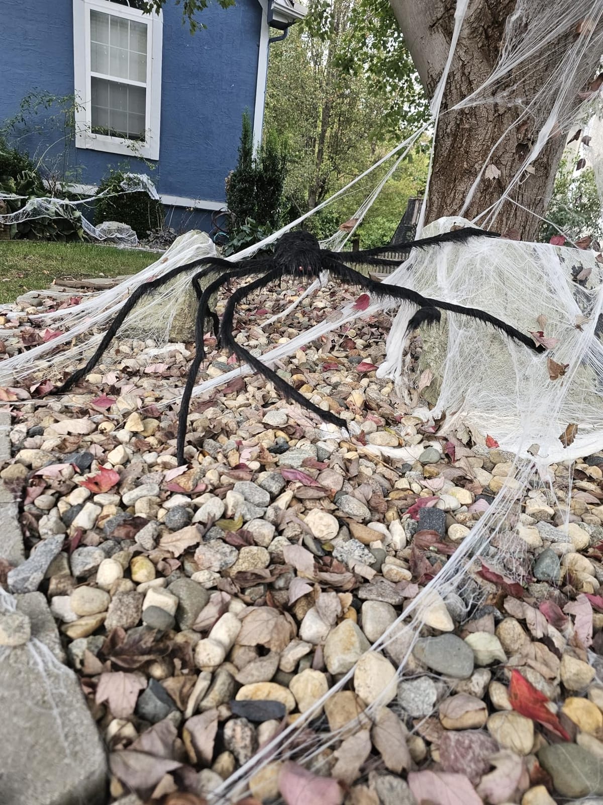 JOYIN Halloween Outdoor Decorations Giant Spider, 5 Ft Large Spider for Yard Lawn Garden Patio Scary Halloween Outside Decor, Indoor Haunted House Prop and Home Party Decor, Black customer photo 2