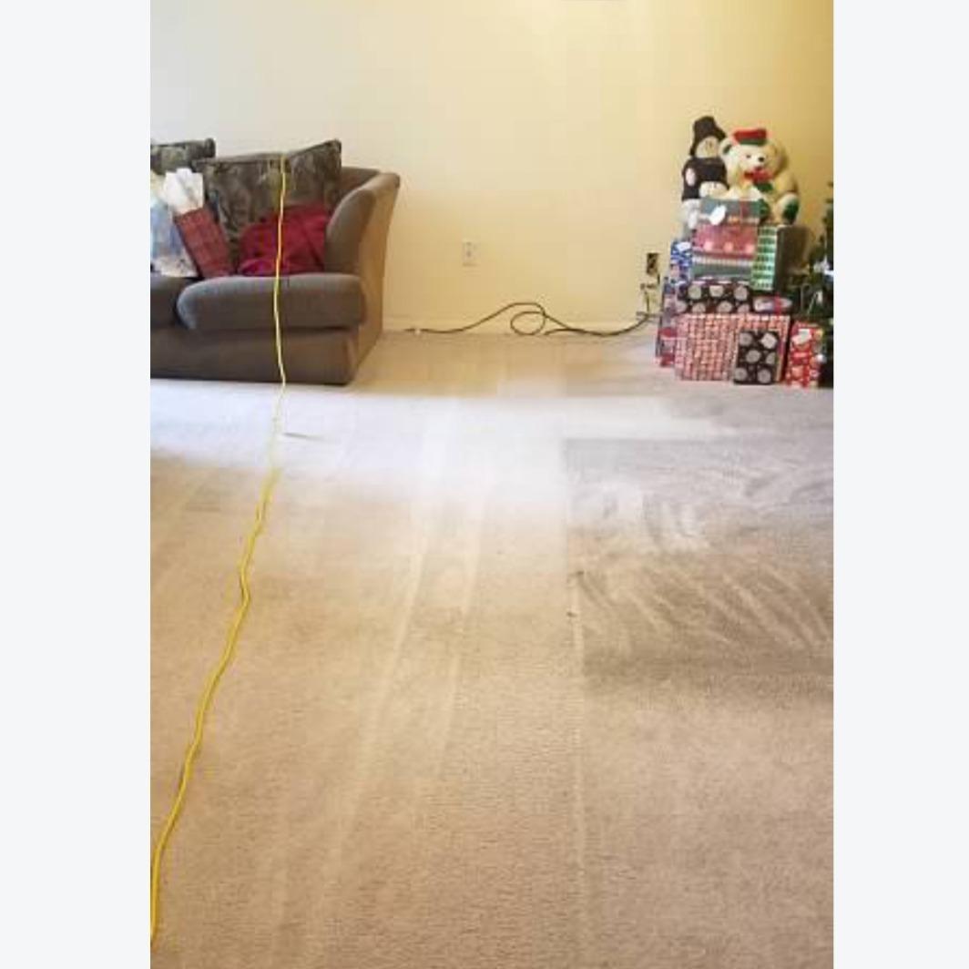 Bissell BigGreen Commercial BG10 Deep Cleaning 2 Motor Extracter Machine w/ Upholstery Tool, and 32 OZ Shampoo Bundle customer photo 2