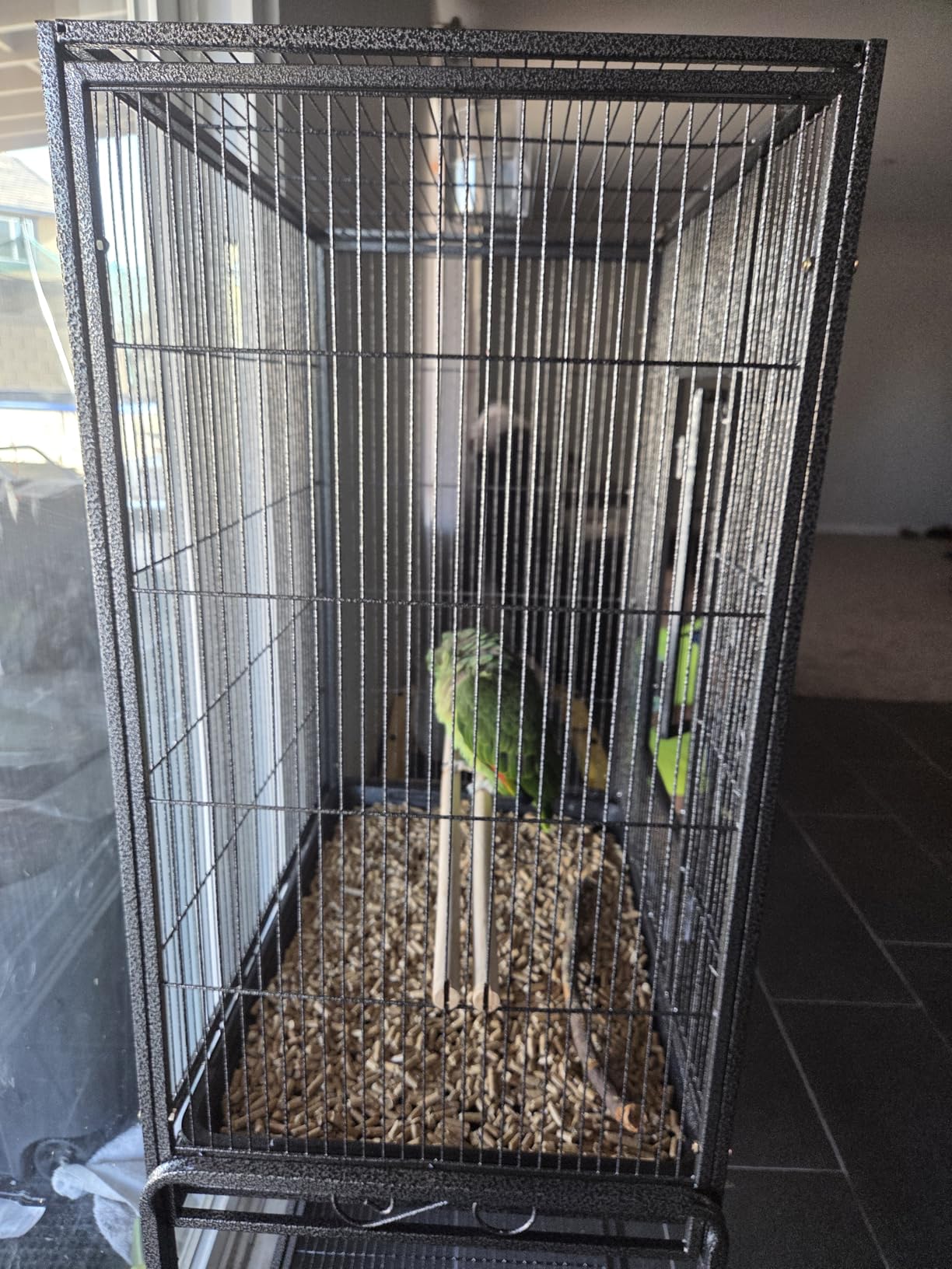 ZENY 53-Inch Bird Flight Cage, Wrought Iron Standing Large with Rolling Stand for Cockatiels Pet Parrot Parakeet Lovebird Canary Finch customer photo 2