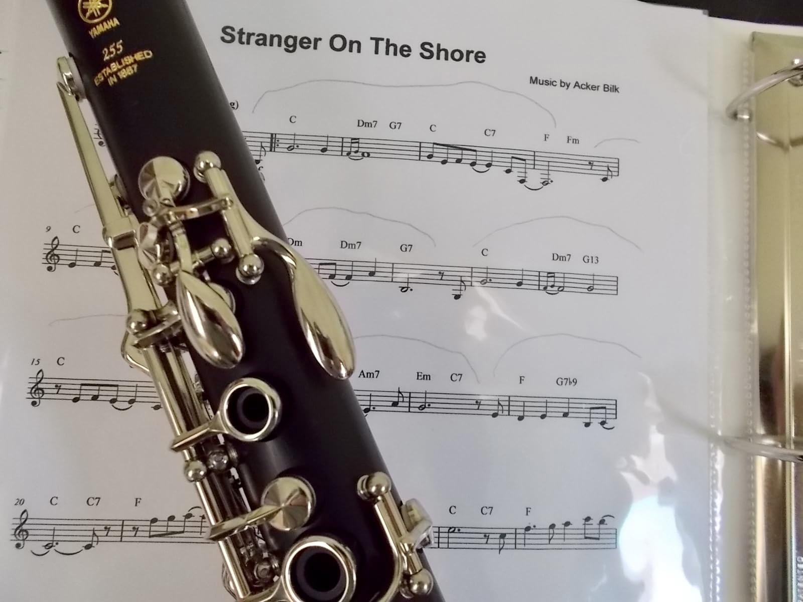 Yamaha YCL-255 Clarinet customer photo 2