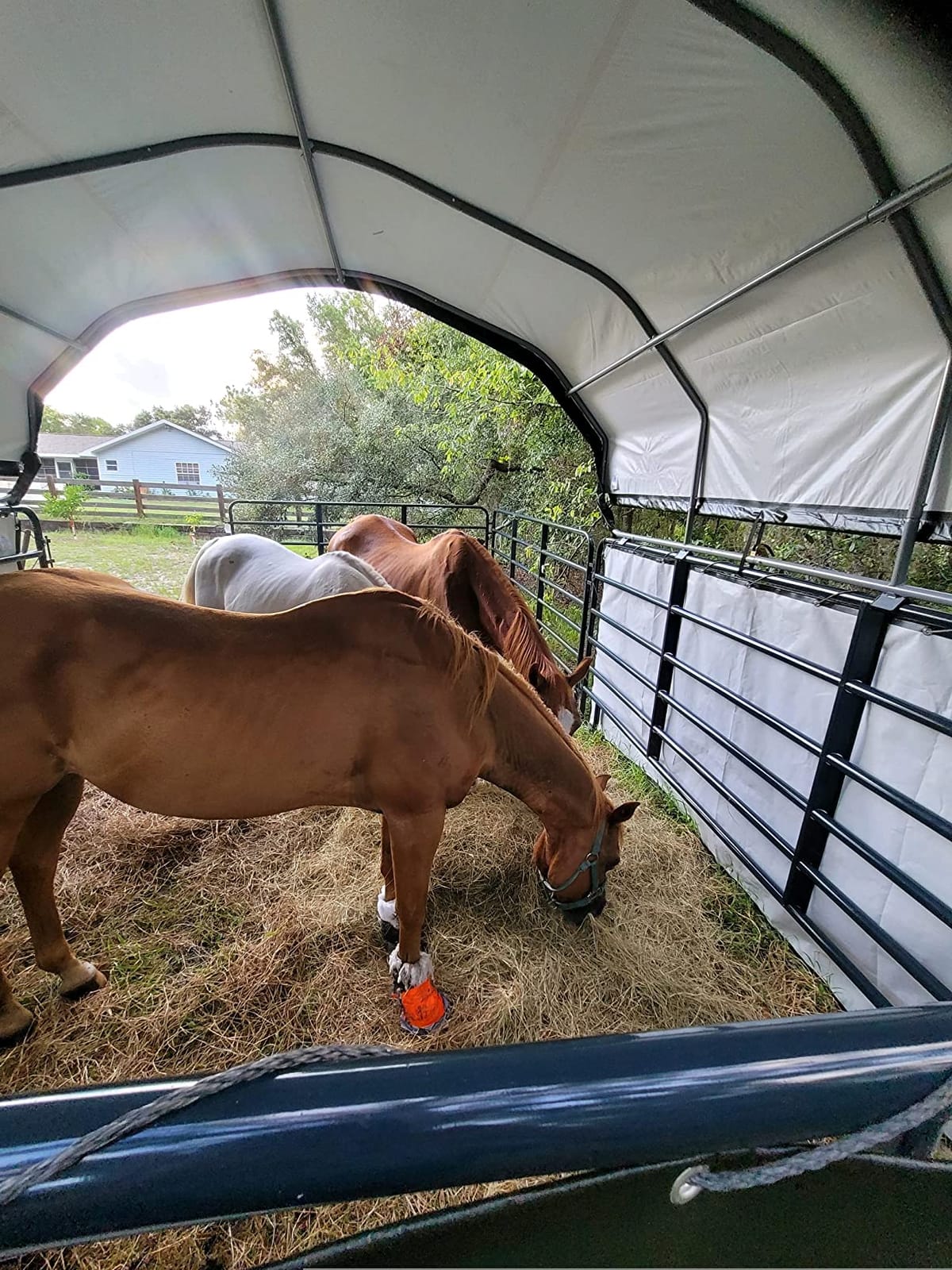 ShelterLogic 12'x12' Equine, Livestock and Agricultural Shelter Enclosure Kit (Corral Panels and Shelter Not Included) customer photo 2