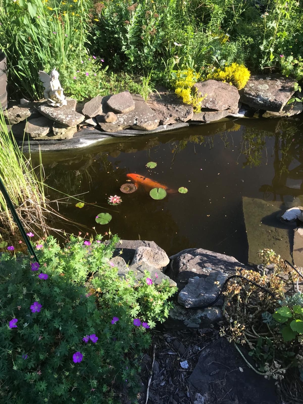 Aquascape Pro Air 20 Pond Aerator and Aeration Kit with Tubing and Self-Cleaning Diffuser, Out-Door Rated | 61009 customer photo 1