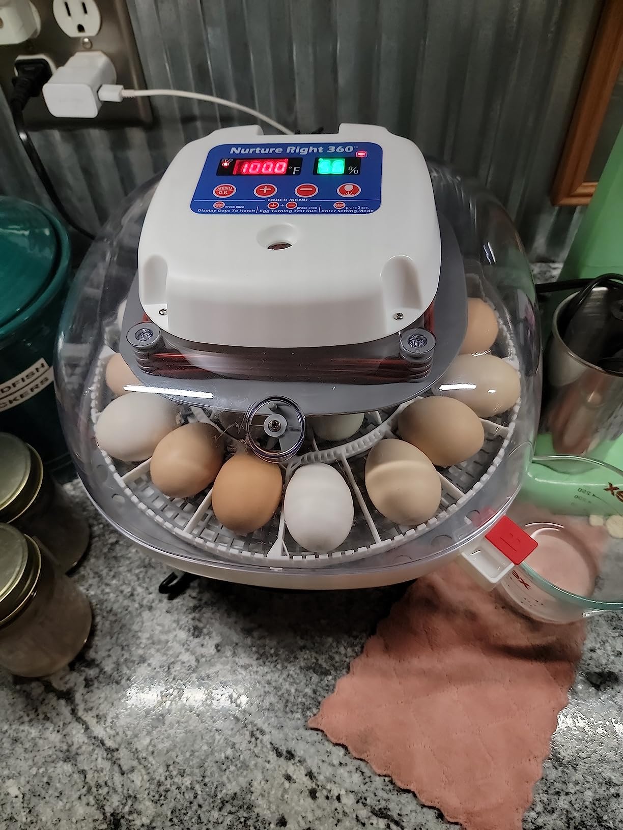 Harris Farms Nurture Right Egg Incubator with Auto Turner, Holds 22 Eggs | Holds 12-22 Eggs, Automatic Egg Turner, Temperature & Humidity Control, 360° Viewing Window, Ideal for Hatching Chicks customer photo 2