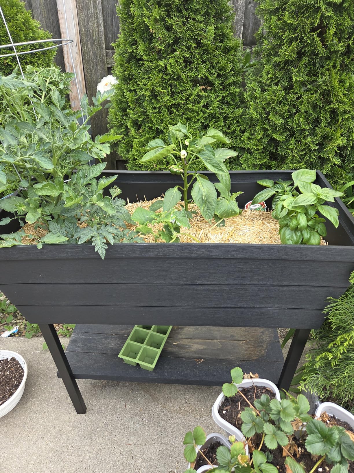 Keter Urban Bloomer 12.7 Gallon Raised Garden Bed and Outdoor Herb Garden Planter with Self Watering Gauge and Drainage Plug, Dark Grey customer photo 1