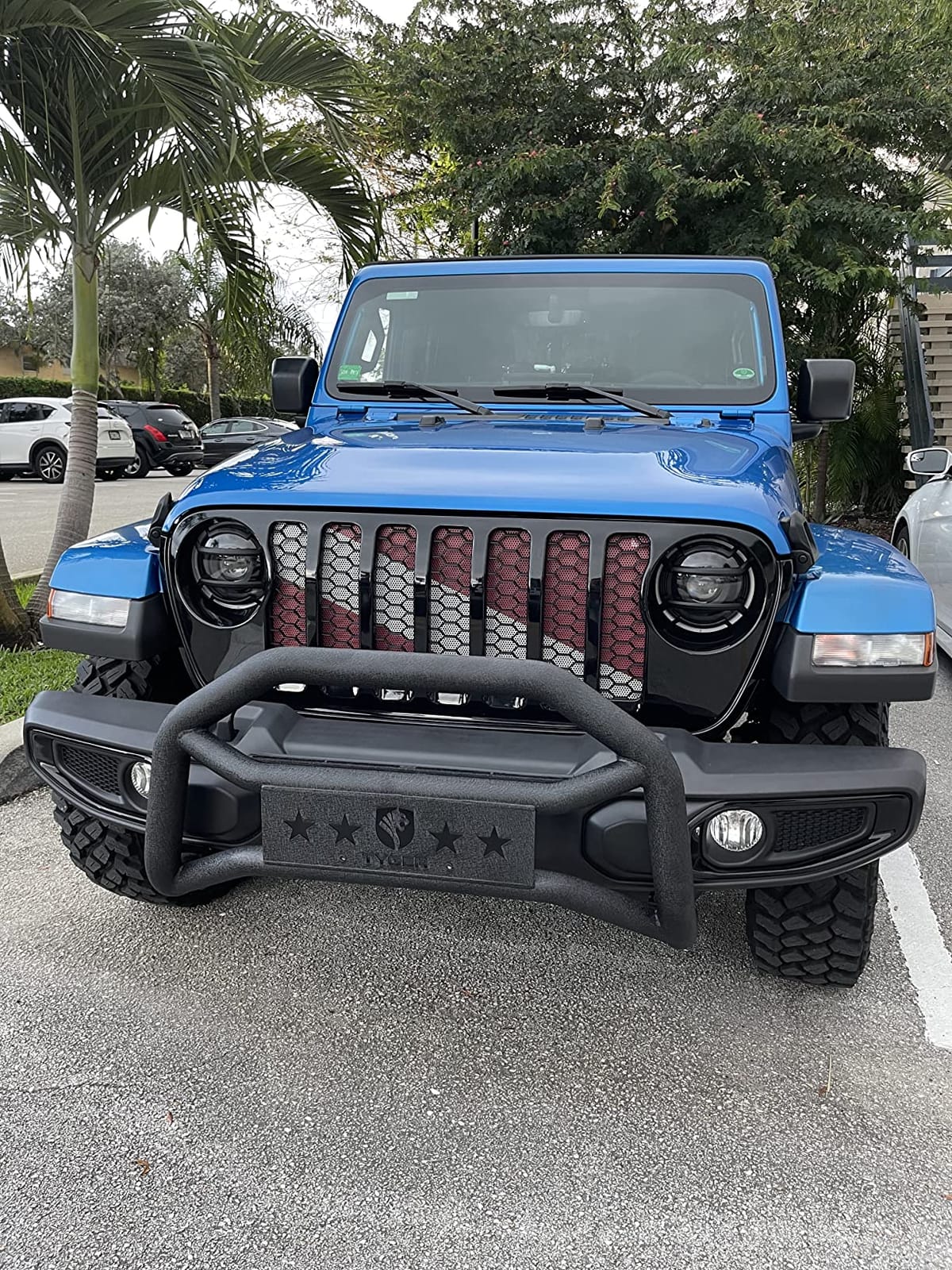 Tyger Auto TG-GD6J60468 Front Bumper Guard Compatible with 2018-2026 Jeep Wrangler JL (Not fit 21-24 V8 Engine); 2020-2026 Jeep Gladiator (Not fit Mojave) | Textured Black | Light Mount | Bull Bar customer photo 1