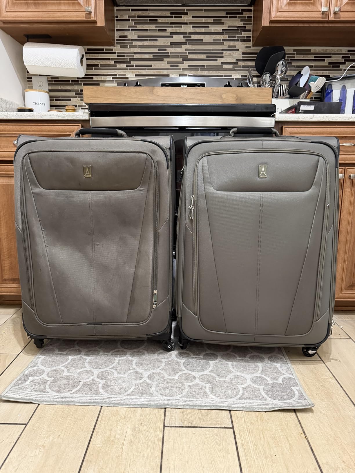 Maxlite 5 International Carry-On Luggage Spinner, Black, 19-Inch customer photo 2