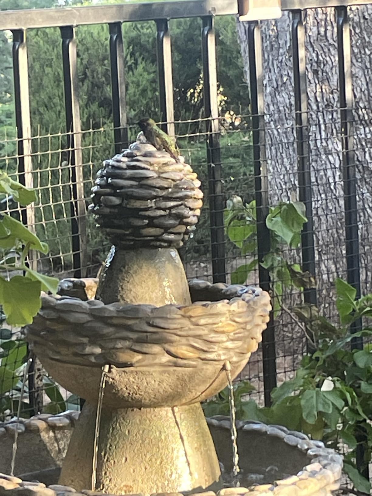 Teamson Home Lily Flower Floor Pedestal 3 Tiered Floor Waterfall Fountain with Pump for Outdoor Patio Garden Backyard Decking, 38 Inch Height, Dark Gray customer photo 1