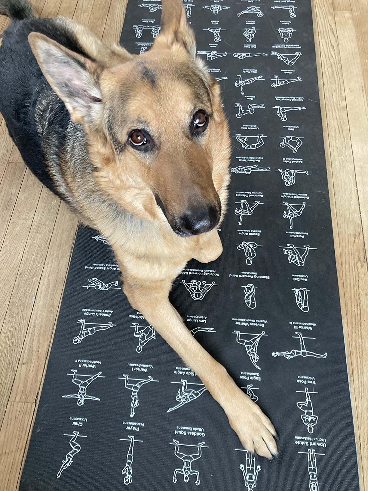 NewMe Fitness Yoga Mat for Women and Men - Large, 5mm Thick, 68 Inch Long, Non Slip Exercise Mats w/ 70 Printed Yoga Poses for Pilates, Workout and Stretching customer photo 1