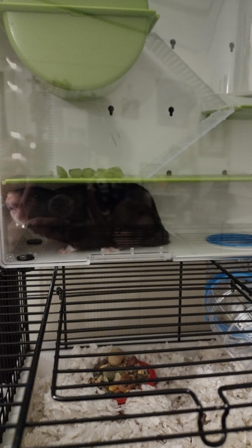 MidWest Homes for Pets Hamster Cage | Awesome Arcade Hamster Home (White) | 18.11 x 11.61 x 21.26 Inch customer photo 2