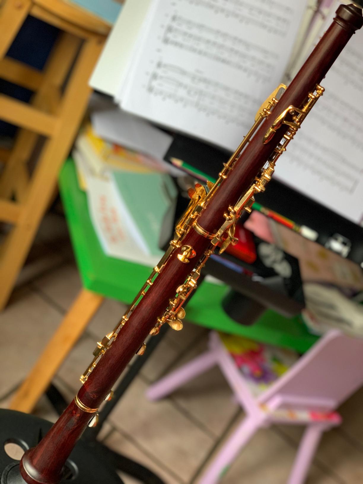 Yinfente Professional Oboe Gold Plated Rosewood C Key Left F Resonance Semi-Automatic Woodwind Instrument With Oboe Accessories customer photo 2