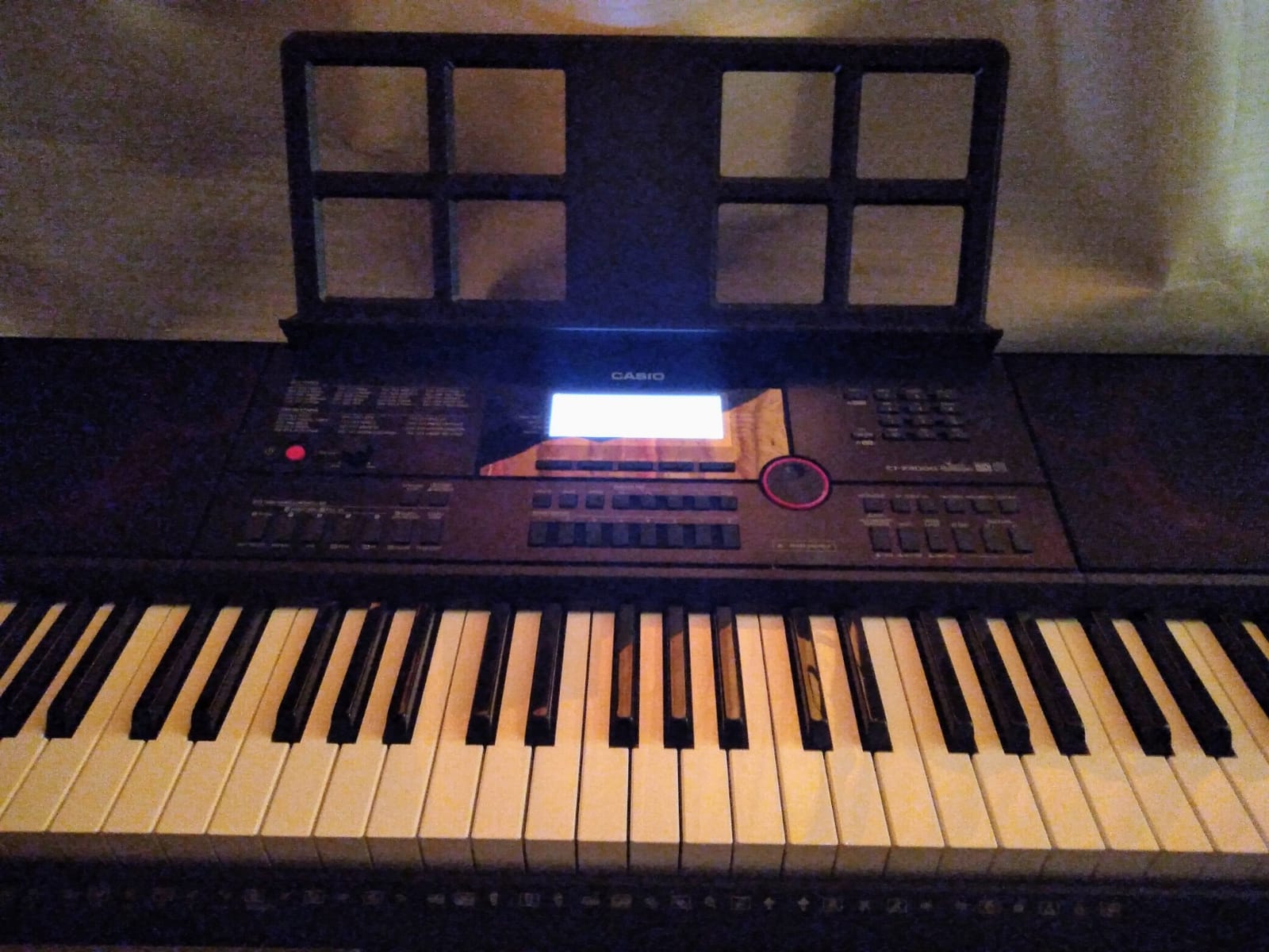 Casio CT-X3000 61-Key Portable Arranger Keyboard | 800 Tones, 235 Rhythms, DSP Effects, 17-Track Recorder, USB MIDI customer photo 2