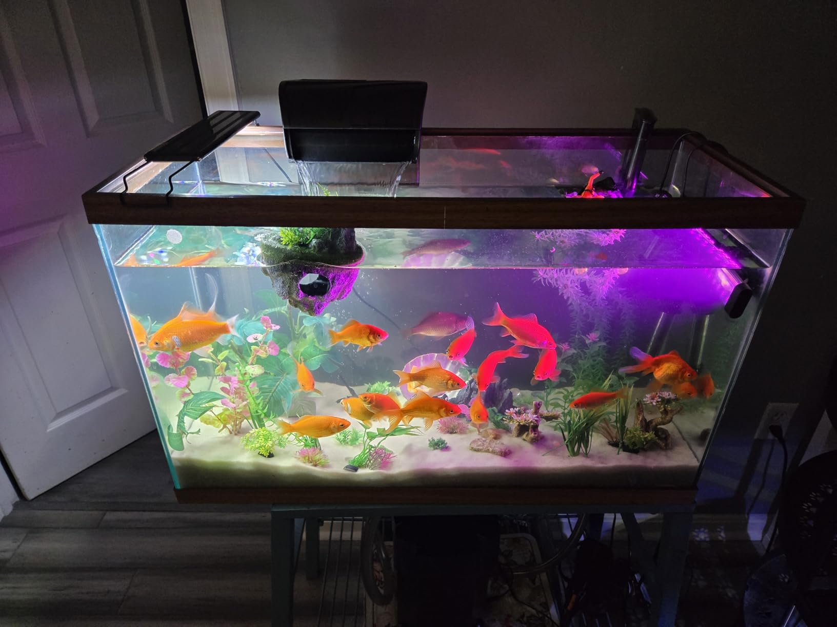 Aqueon QuietFlow Canister Aquarium Filter 100-150 Gallons | 150 gallon fish tank filter with biological, chemical and mechanical stages, spray bar and polishing unit customer photo 2