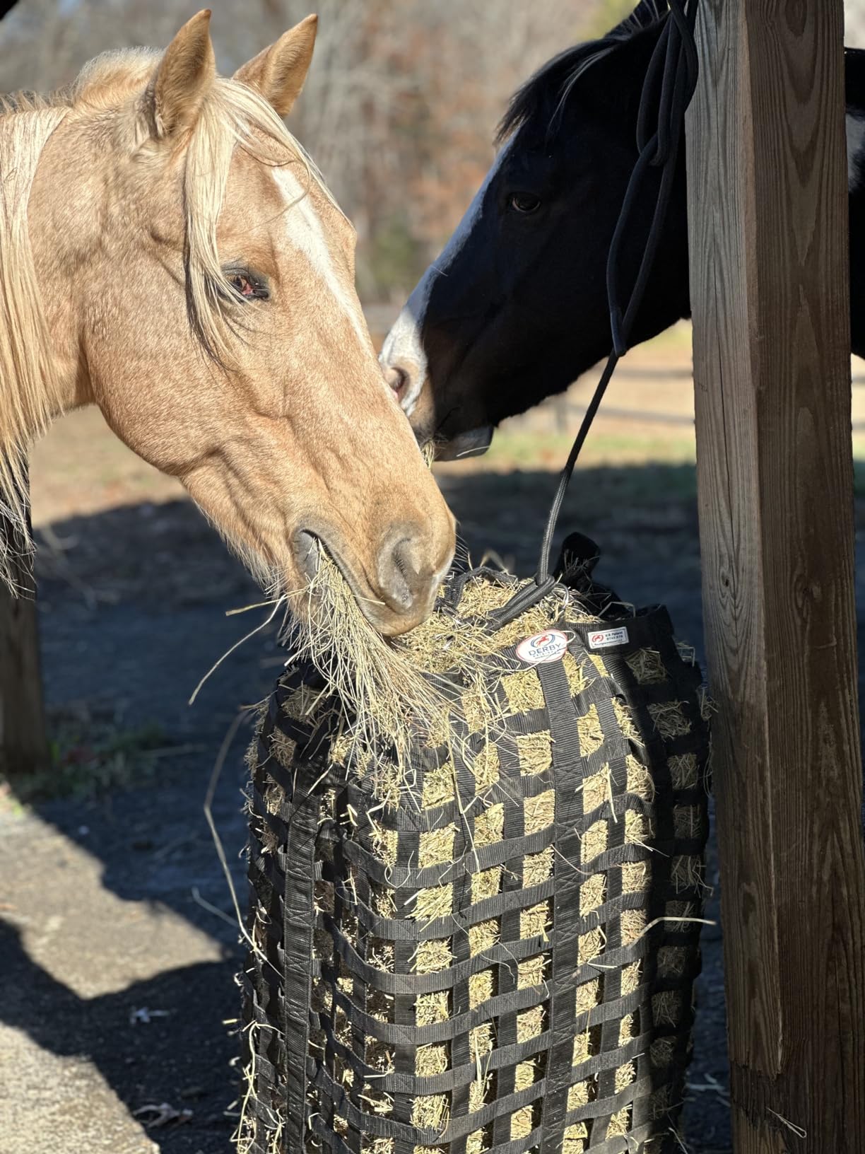 Derby Originals XL Go Around Slow Feeder Horse Hay Bag with Super Tough Bottom and 1 Year Warranty, Royal Blue, 71-7132RBL customer photo 2