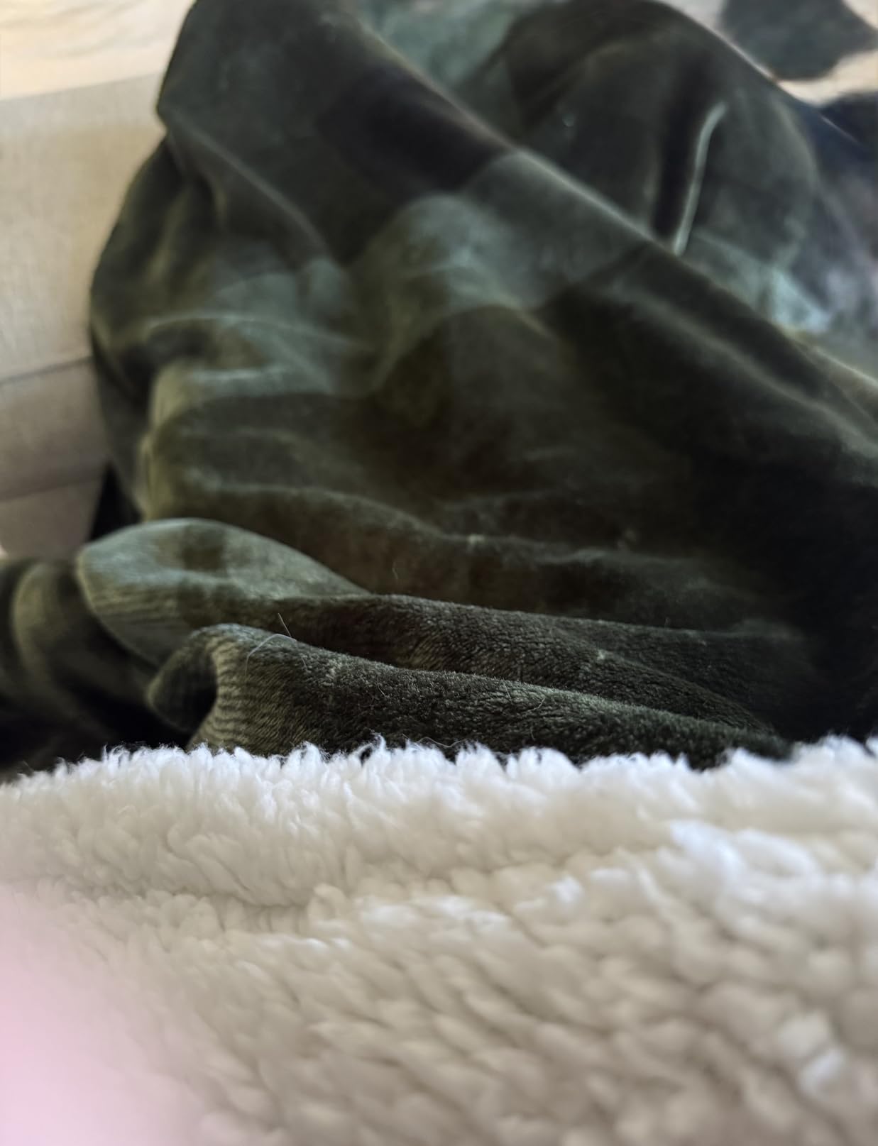 Eddie Bauer - Sherpa Throw Blanket for Couch 50x60 - Ultra Soft Reversible Fleece & Plush Sherpa Blanket, Warm Cozy Bear & Pine Cabin Throw for Sofa, Bed, Living Room Decor customer photo 2