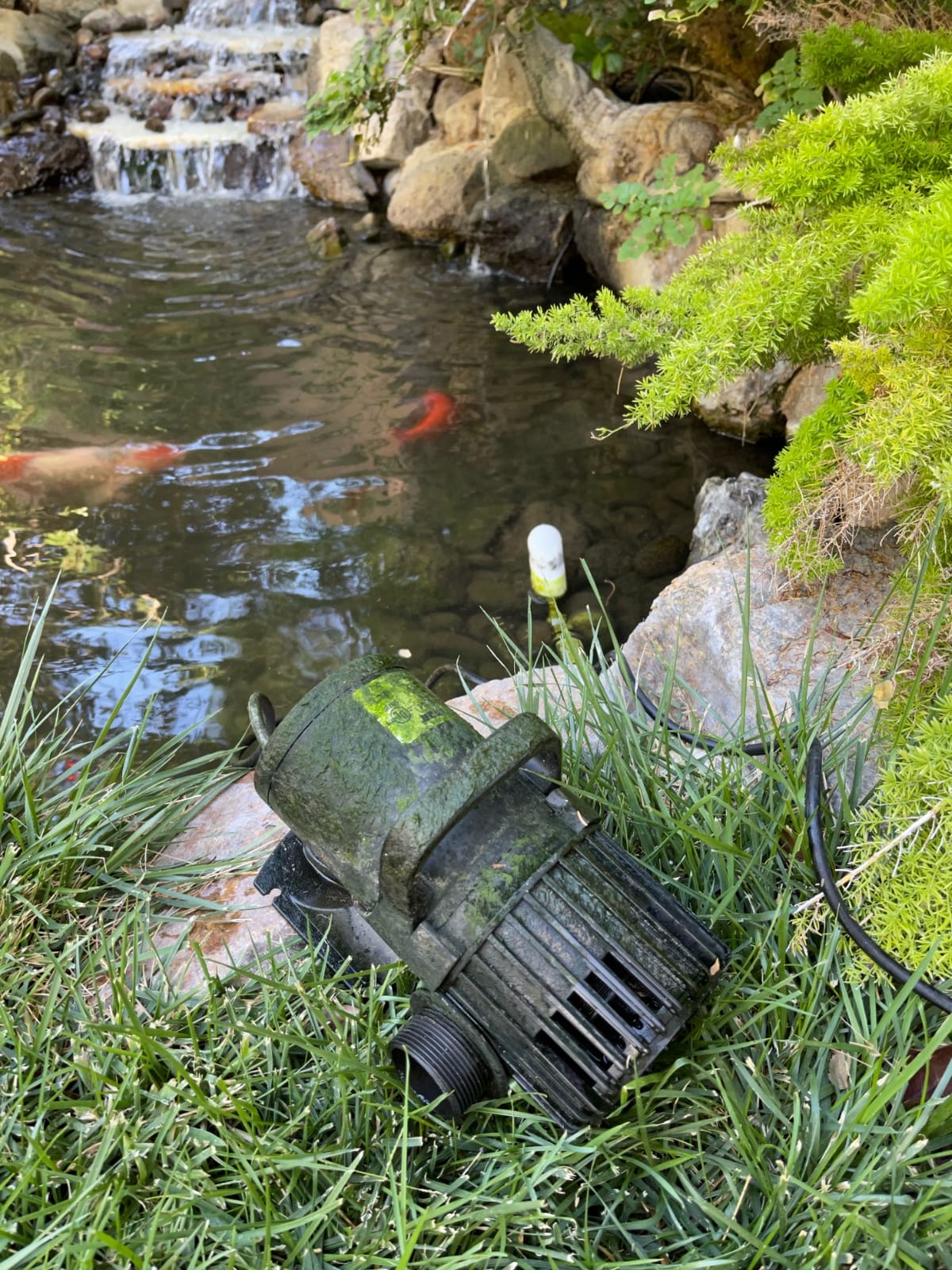 VIVOSUN 4500 GPH Submersible Water Pump, 220W Pond Pump, Ultra Quiet Aquarium Pump with 19FT. Lift Height for Pond Waterfall, Fish Tank, Statuary, or Hydroponics customer photo 1