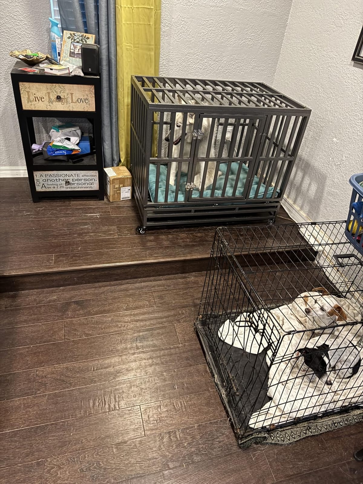 LUCKUP 38 Inch Heavy Duty Dog Cage Metal Kennel and Crate for Large Dogs, Easy to Assemble Pet Playpen with Four Wheels, Black customer photo 2