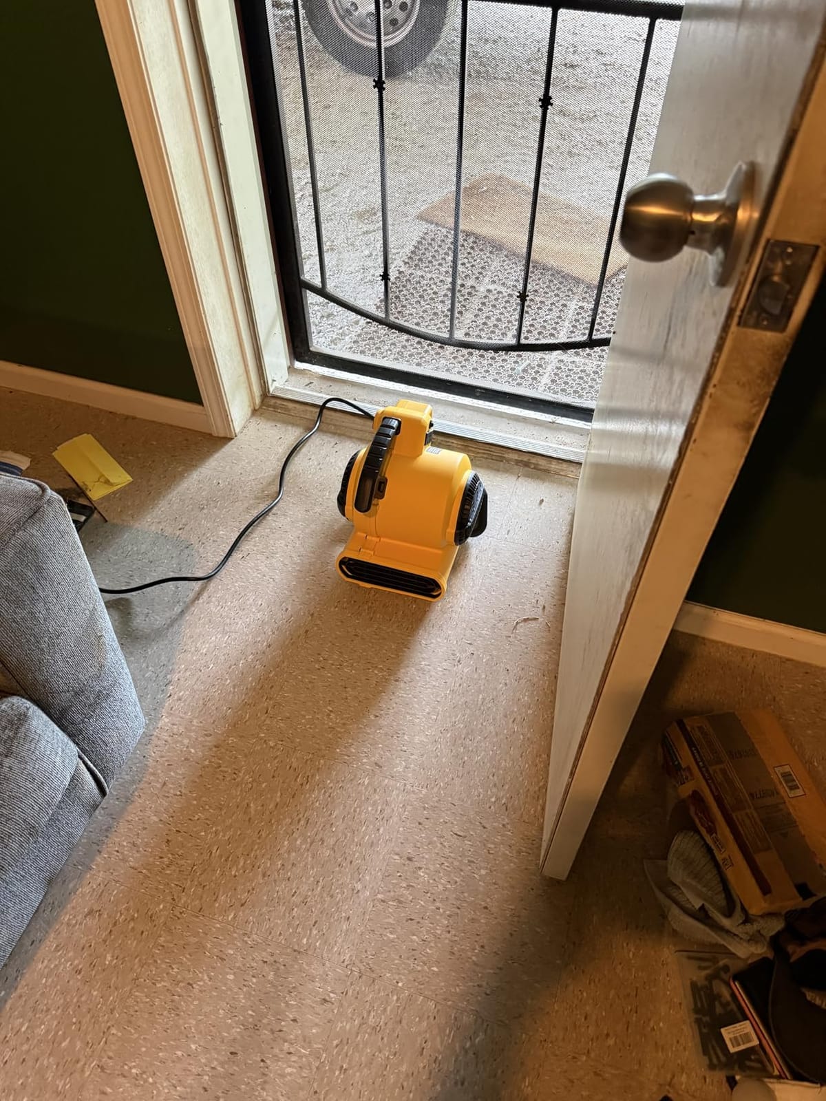 DEWALT Portable Air Mover, 276W 3 Speed Floor Fan, Utility Blower Fan | 1/5 HP 600 CFM Floor Dryer, 11 lbs Carpet Dryer, Floor Fan, for Janitorial, Home, Commercial Use, DXAM-2260 customer photo 2