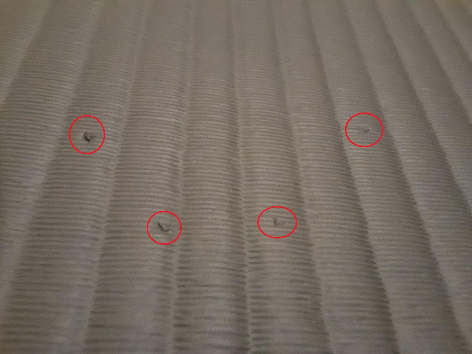 IncStores 7/8 Inch Thick Tatami Foam Flooring Tiles | Textured Interlocking Foam Tiles for Martial-Arts Floor Protection in Your Home Gym, Playroom, and More customer photo 2