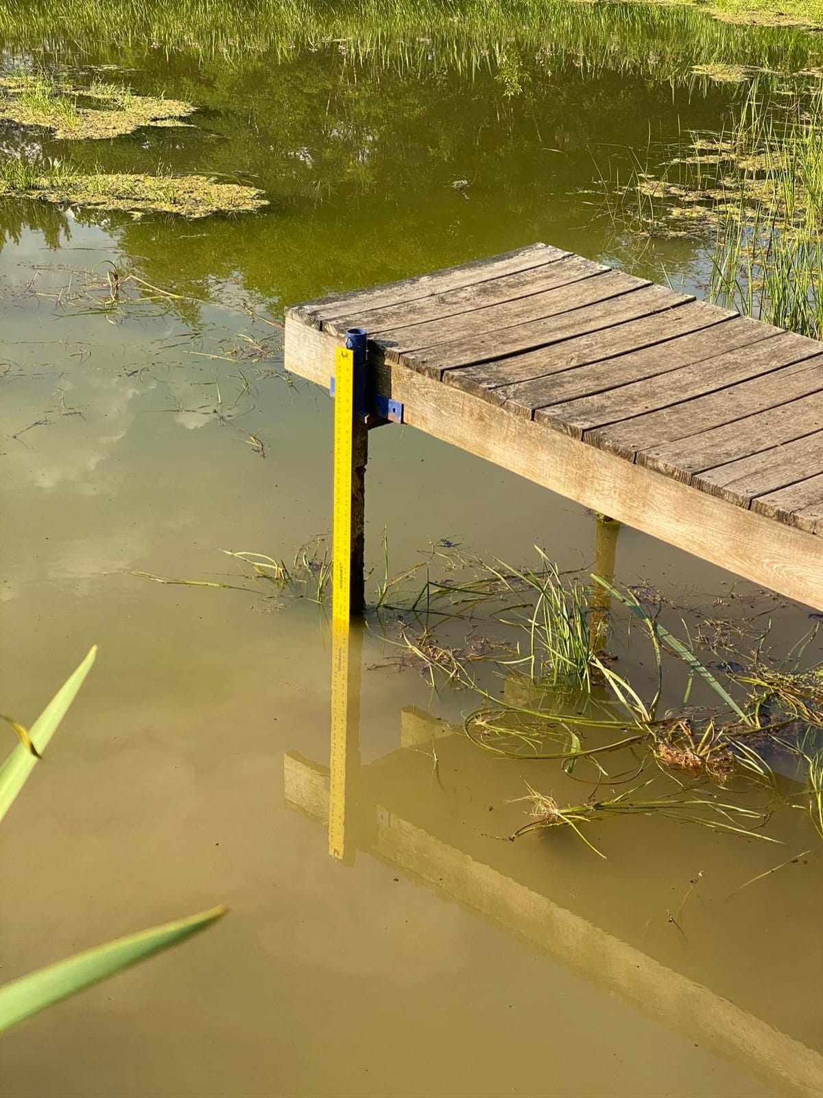 PAS20 Pond & Lake Aeration System for Up to 3 Acre, 3/4 HP Compressor + Two 100' Weighted Tubing + 2 Diffusers customer photo 2