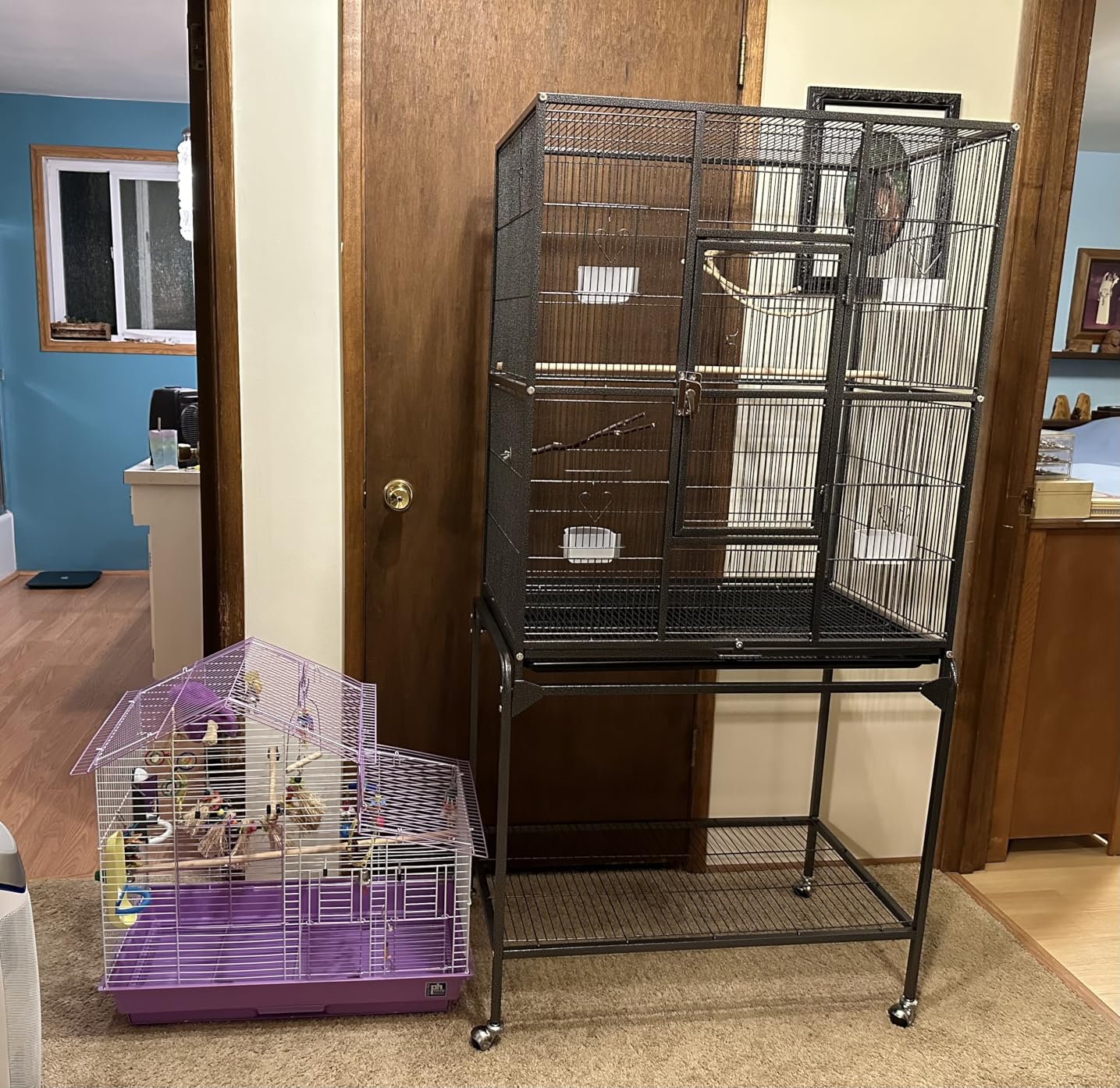 Yaheetech 63-Inch Wrought Iron Rolling Large Bird Cage for African Grey, Small Quaker and Amazon Parrots customer photo 1