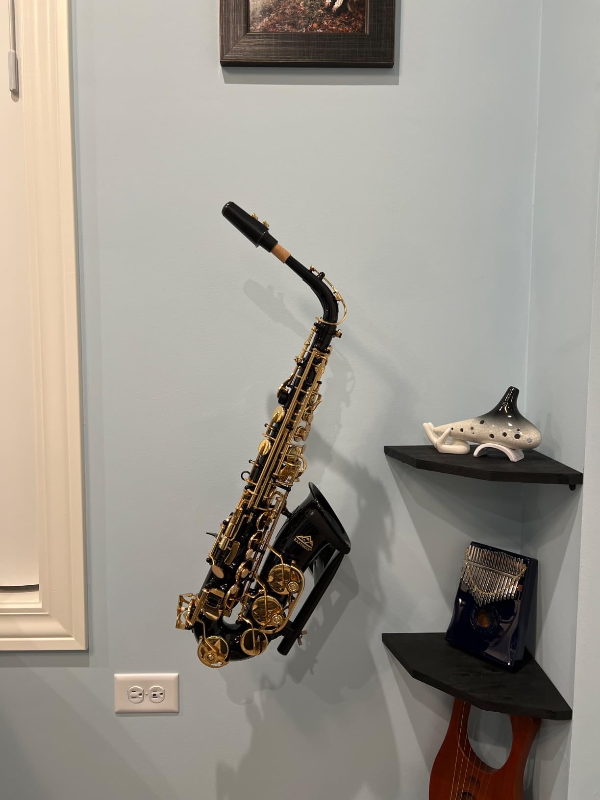 EASTROCK E Flat Alto Saxophone Gold Alto Sax for Beginners and Students | Alto Sax Kit-Carrying Case, Mouthpiece, Reeds, Cushion Pads, Cleaning Kit, Gloves, Neck Strap for Practice & Performance customer photo 1