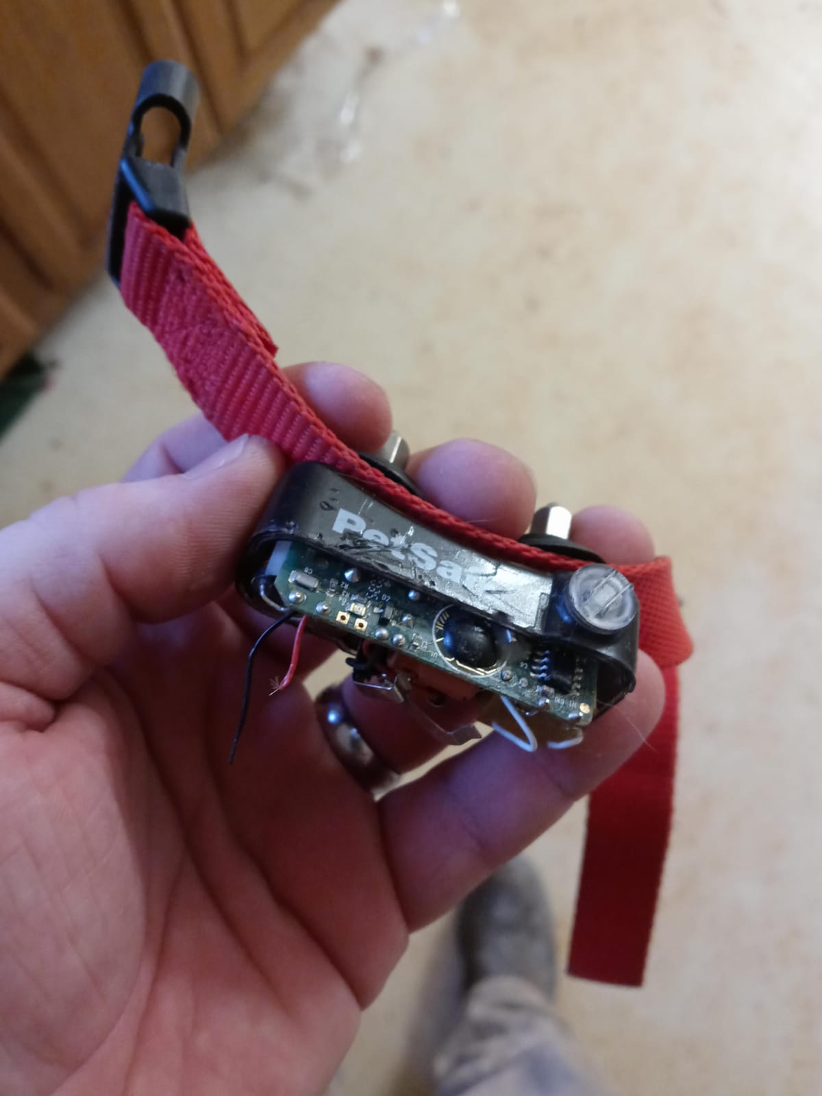 PetSafe Basic In-Ground Fence, 2 Waterproof Collars, 4 Static Levels, 8lb+ | Tone-Only Mode Plus 4 Static Levels, Unlimited Collars Can Be Added, up to 2 Months Battery Life, DIY Install customer photo 1